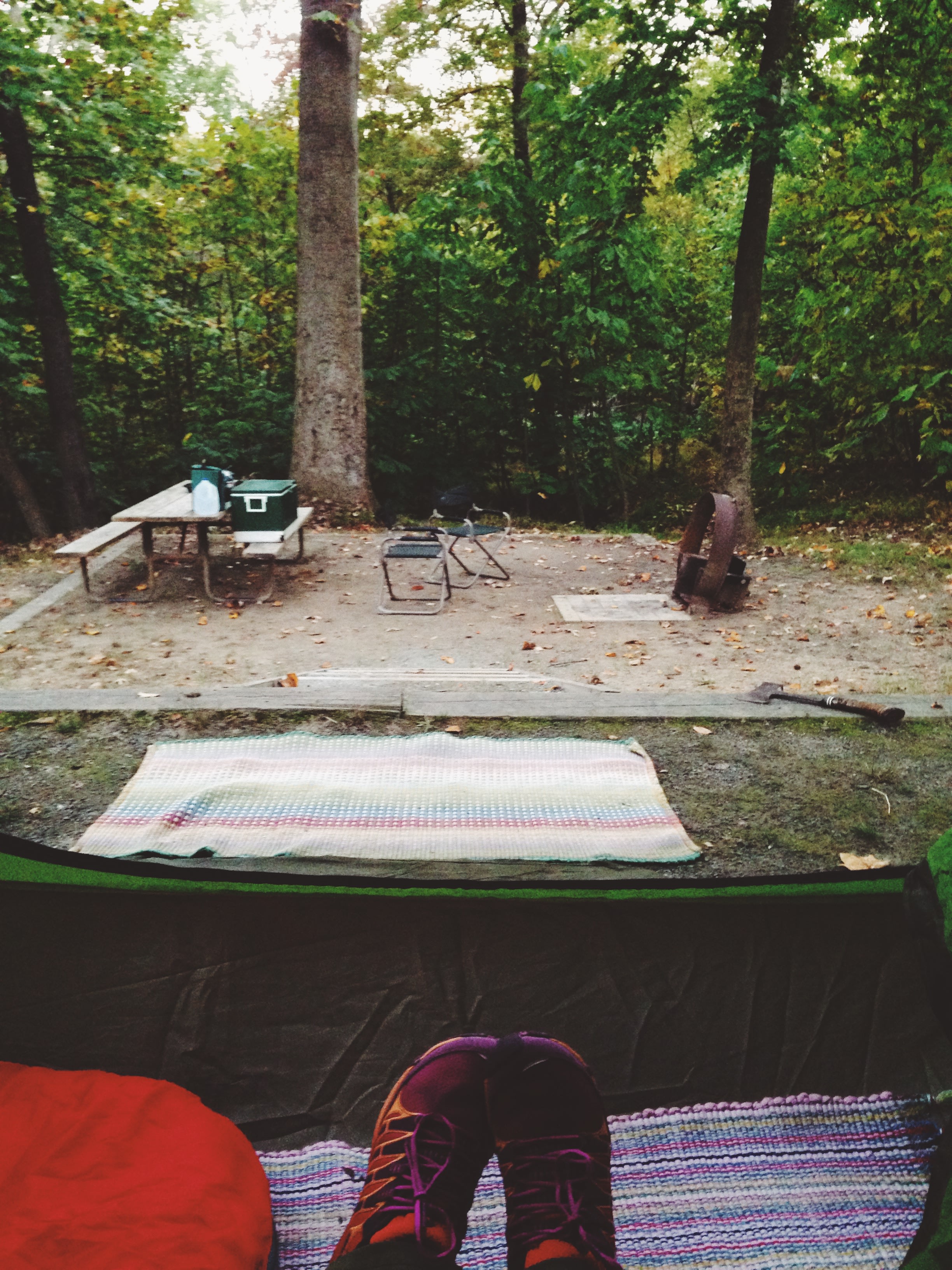 Campsite at Elk Neck State Park 