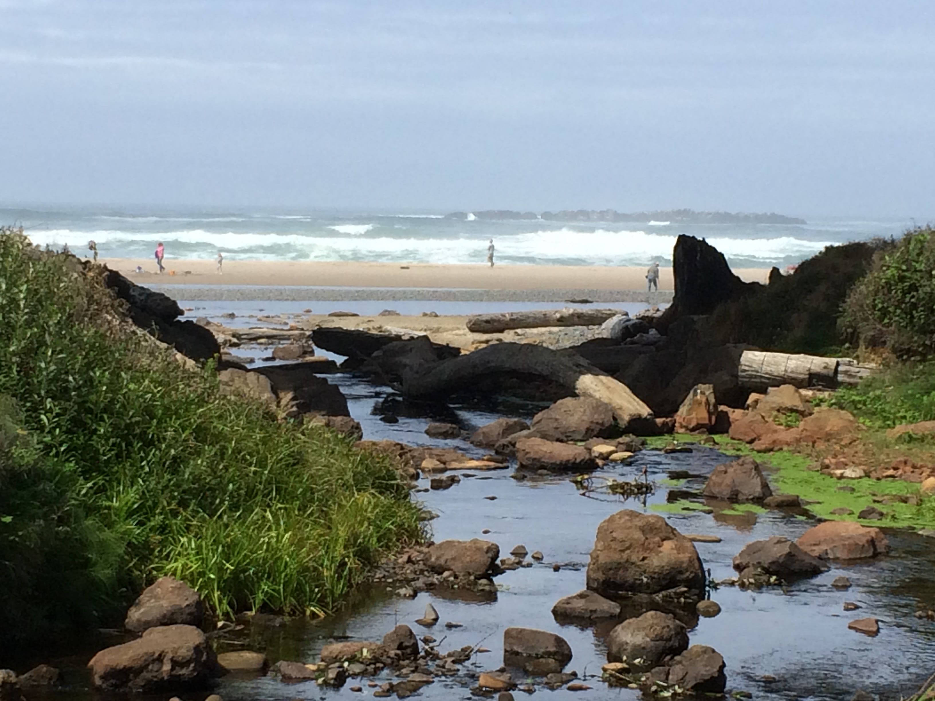 Welcome to Beverly Beach!