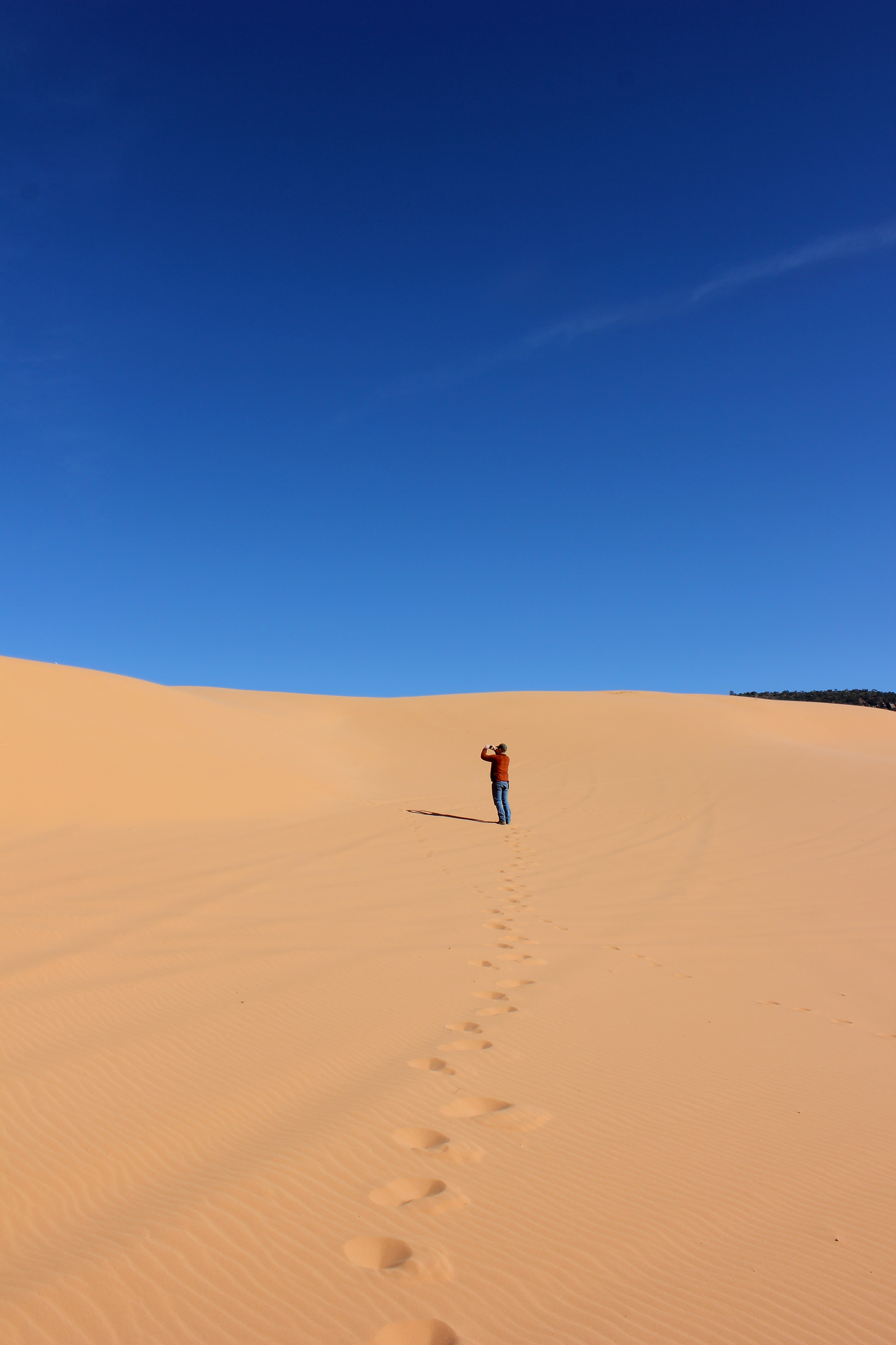 Coral Pink Sand Dunes State Park