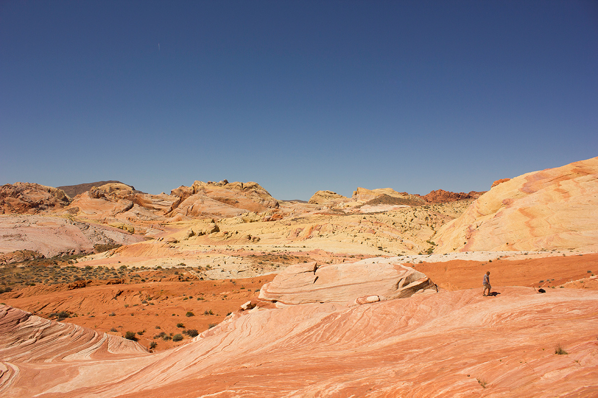 Fire wave hike - definitely worth it. This entire park is definitely a place that will make you feel very small among its vastness. 
