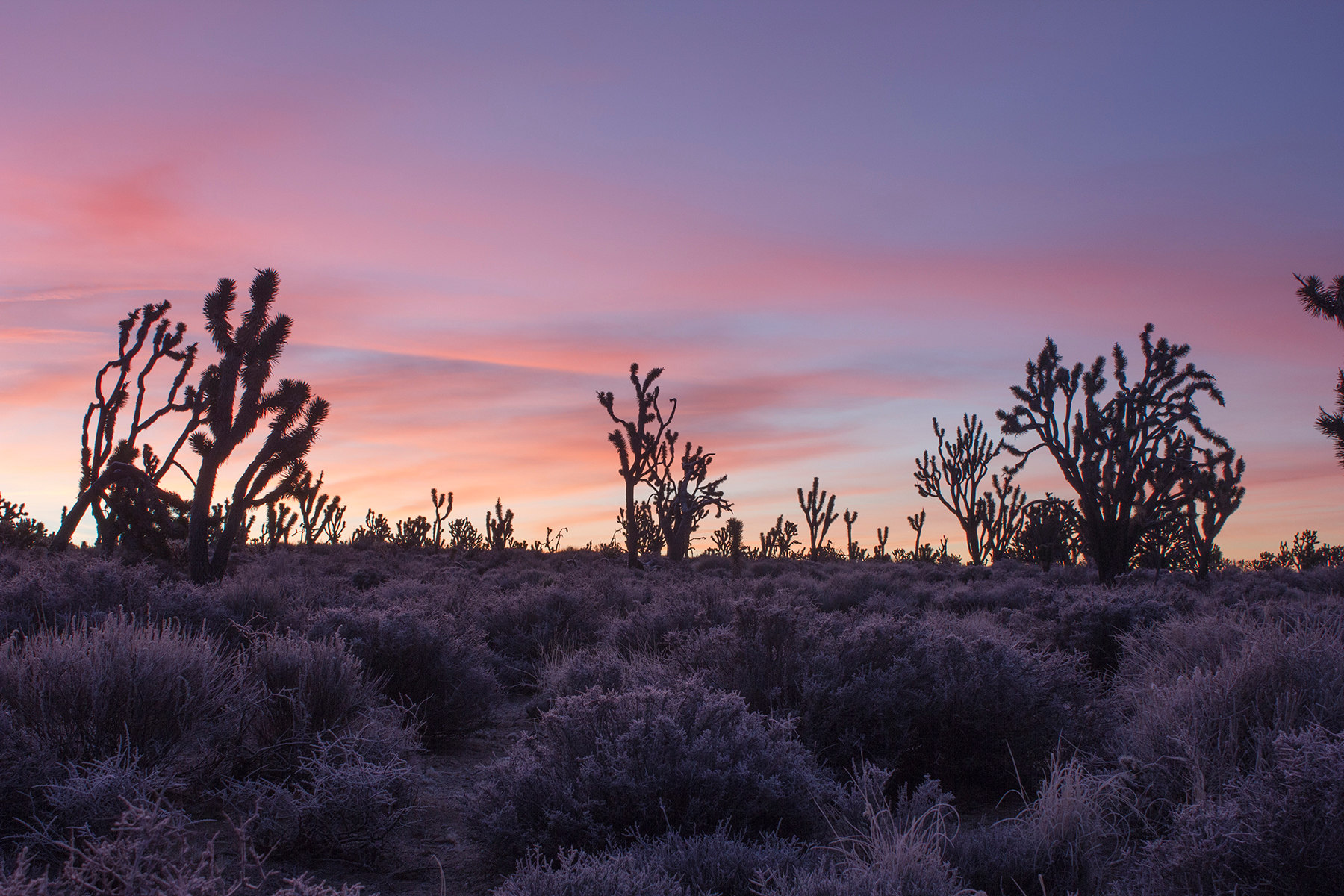 Waking up to listen in below freezing temps, I could not complain one bit.