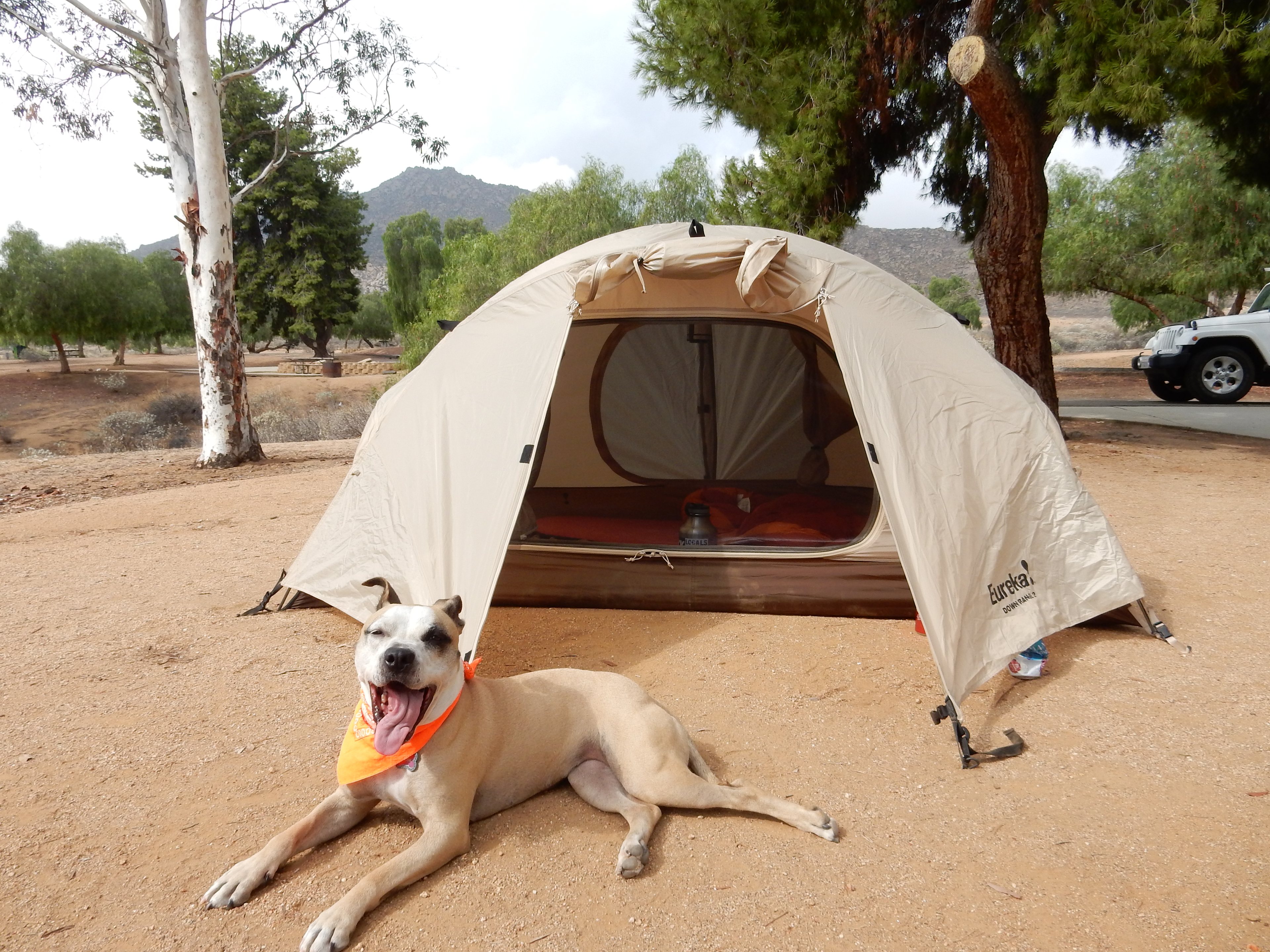 @SalamiAdventures stoked on her new Eureka Tent.