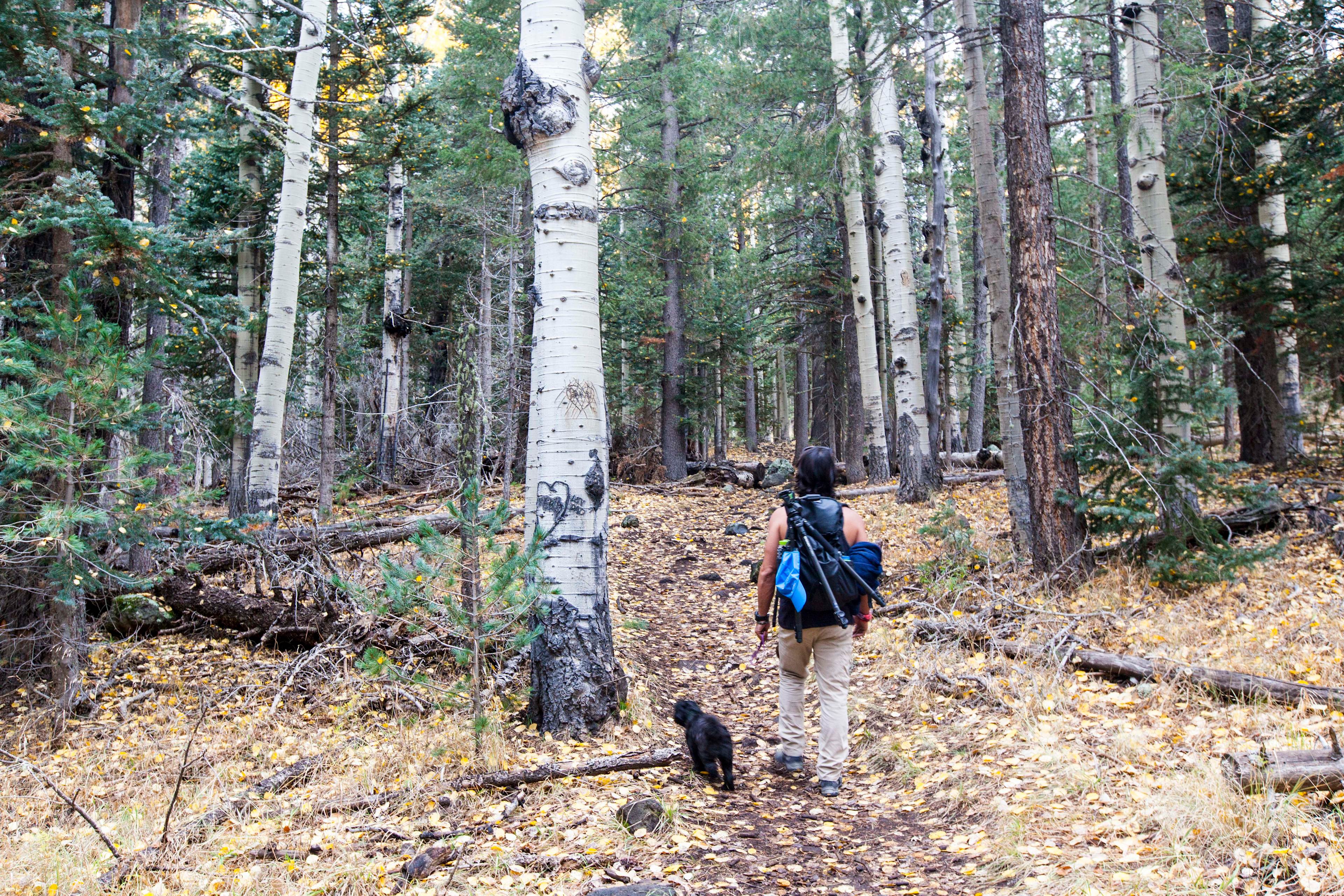 We didn't even make it it to the meadow - and didn't need to - the hike itself was beautiful enough!
