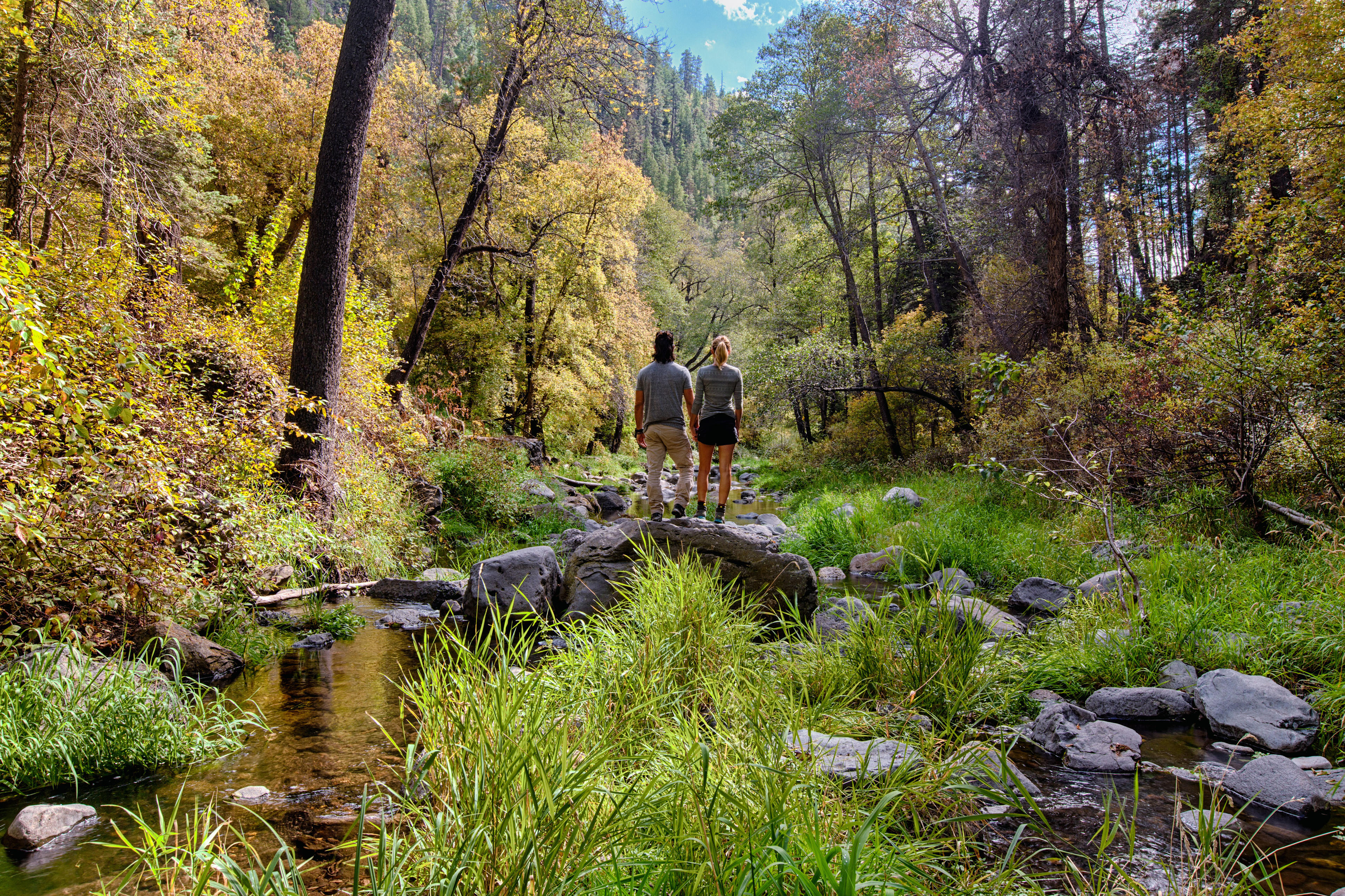 Play in the water! The creek that runs along the campsites in this canyon is loaded with activity ops: swimming, fishing, photography, wading, etc. 