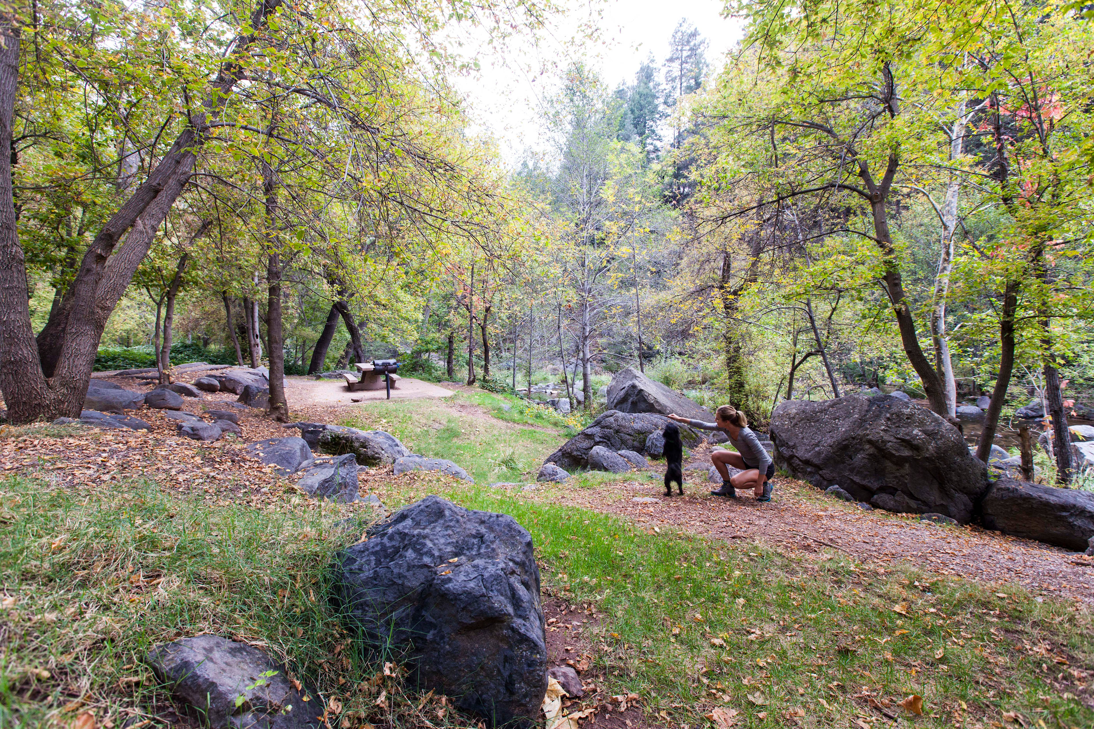 This is at Banjo Bill Picnic Area just down the road from Cave Springs Campground - 1/2 mile north of Slide Rock