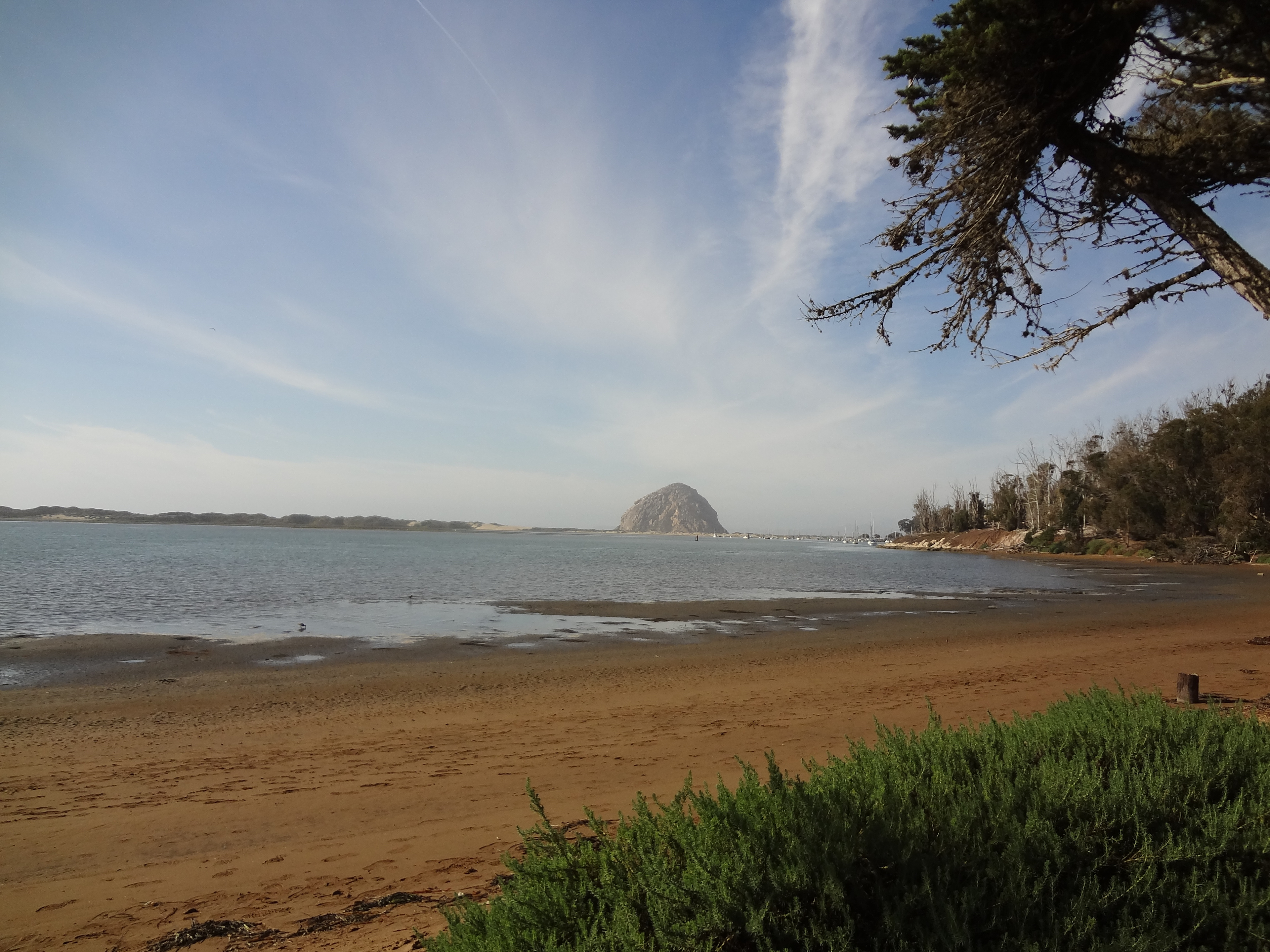 Morro Bay is a short two mile walk from the campground.