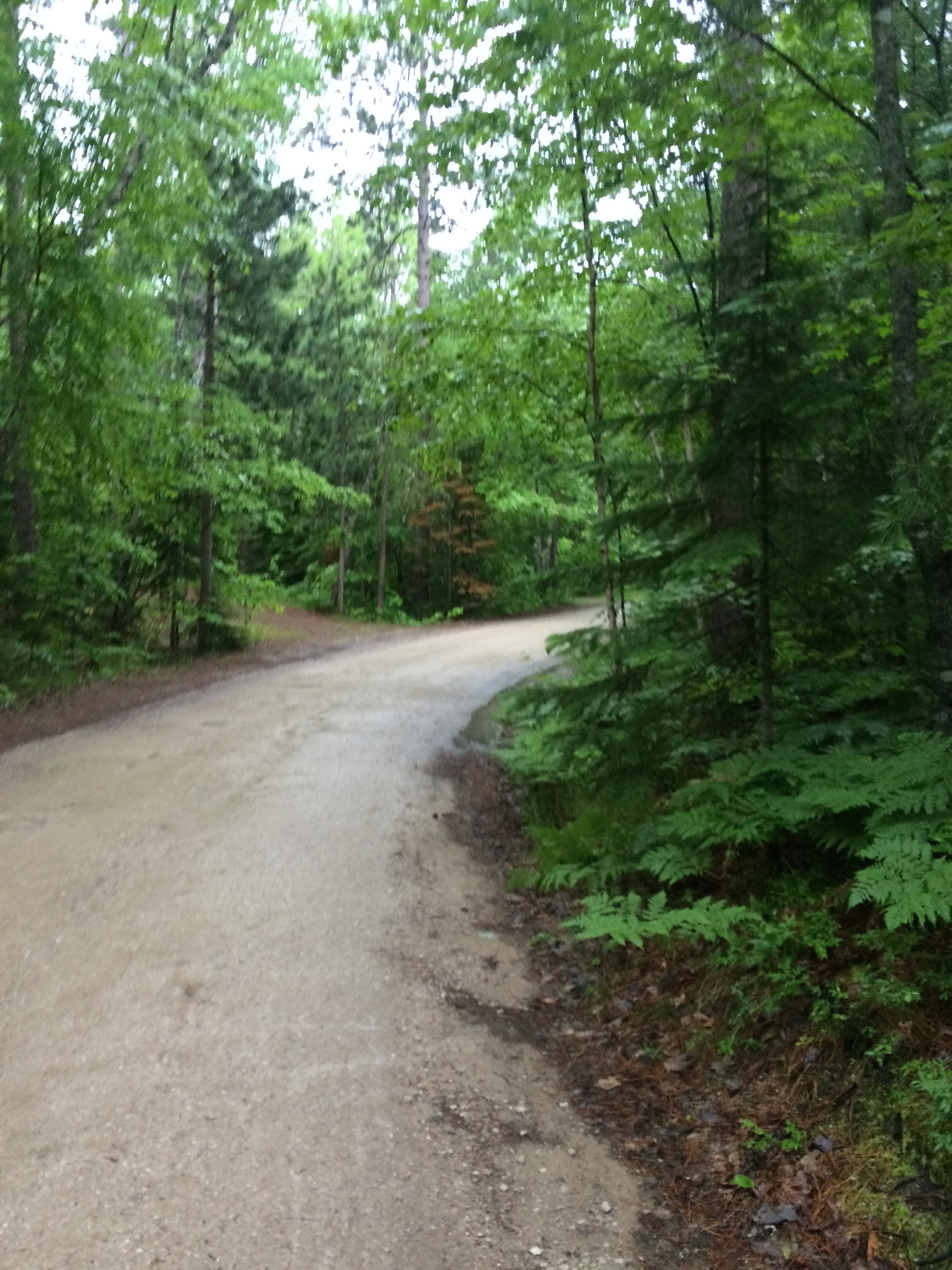 The road leading into Twelvemile.