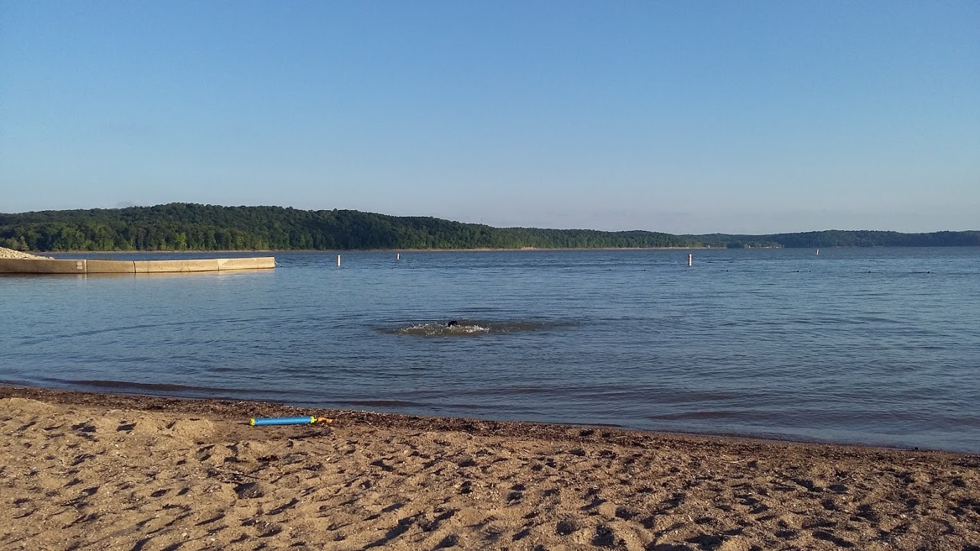 Paynetown Beach on Monroe Lake. One of my favorite beaches,  it is small, a bit quiet, but not desolate.