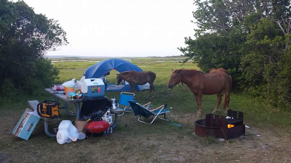 Assateague Campground