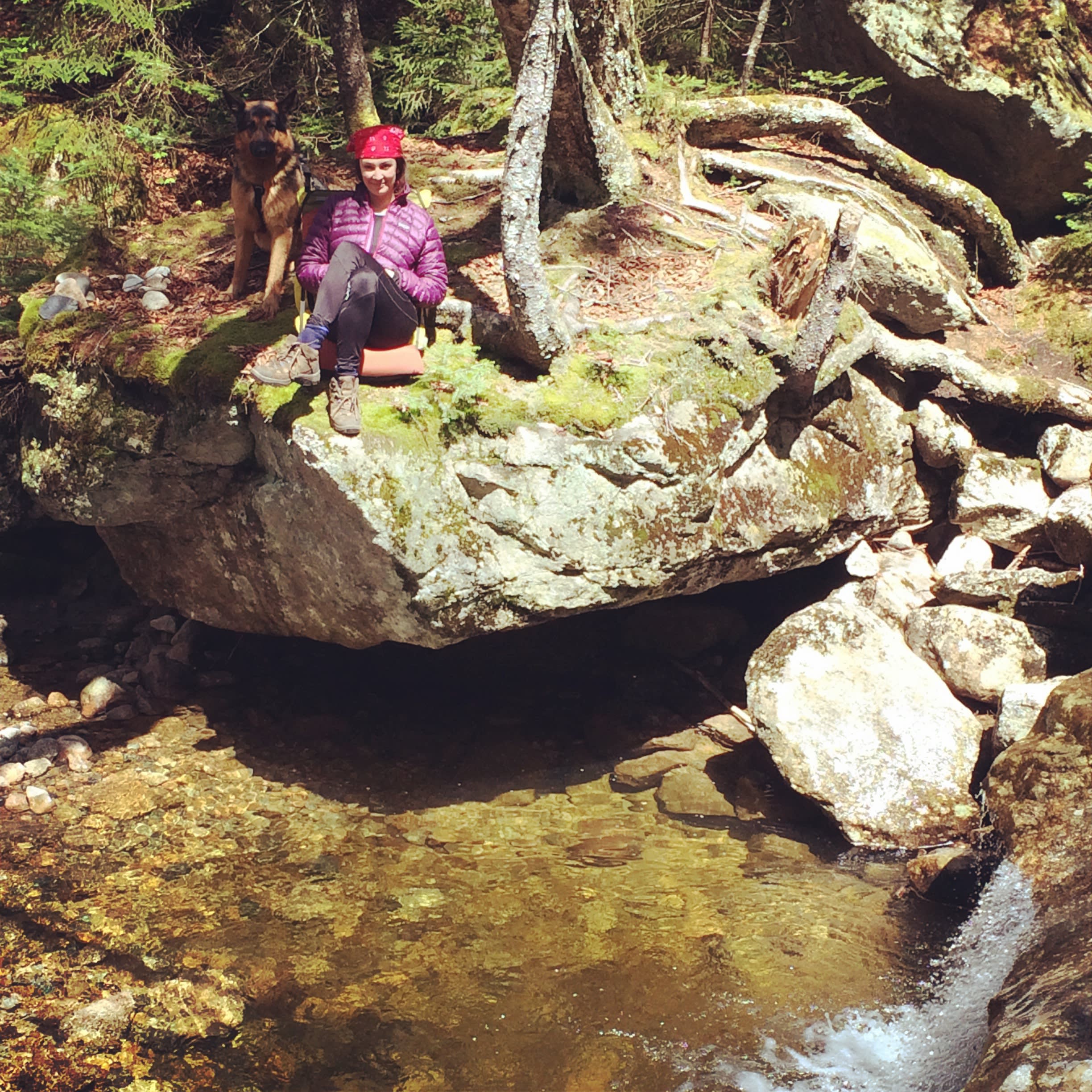 Resting above the creek that runs next to the shelter.