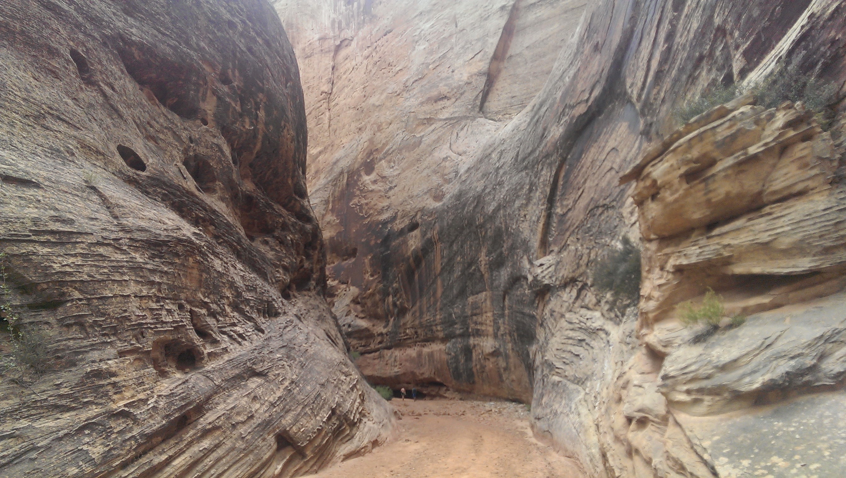 Capitol Reef National Park