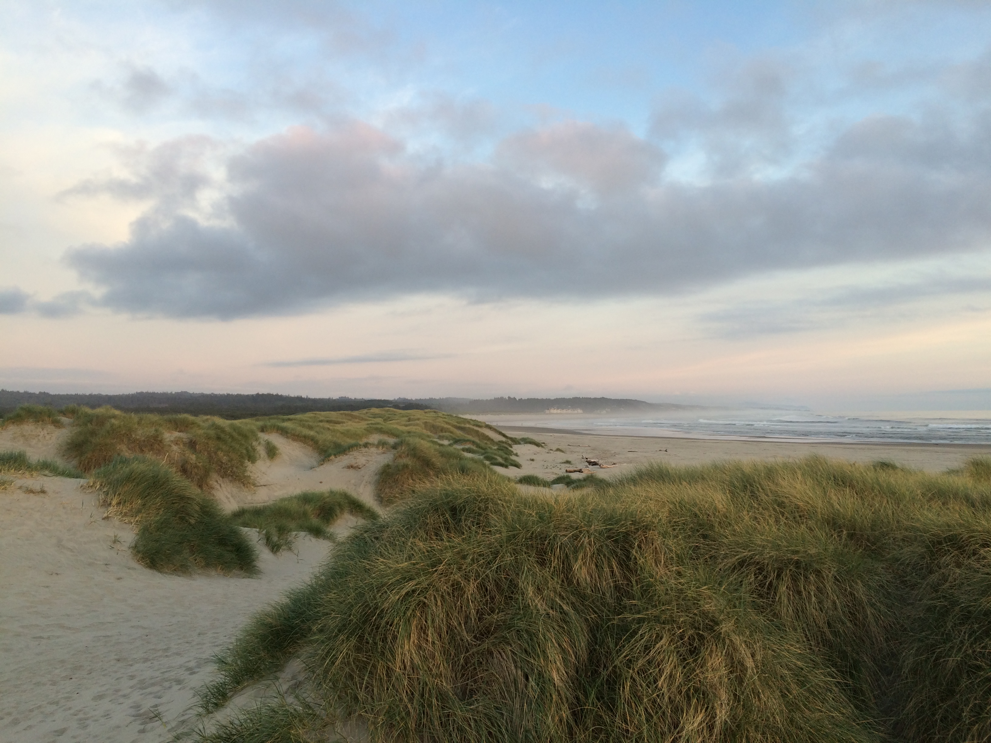 South Beach State Park