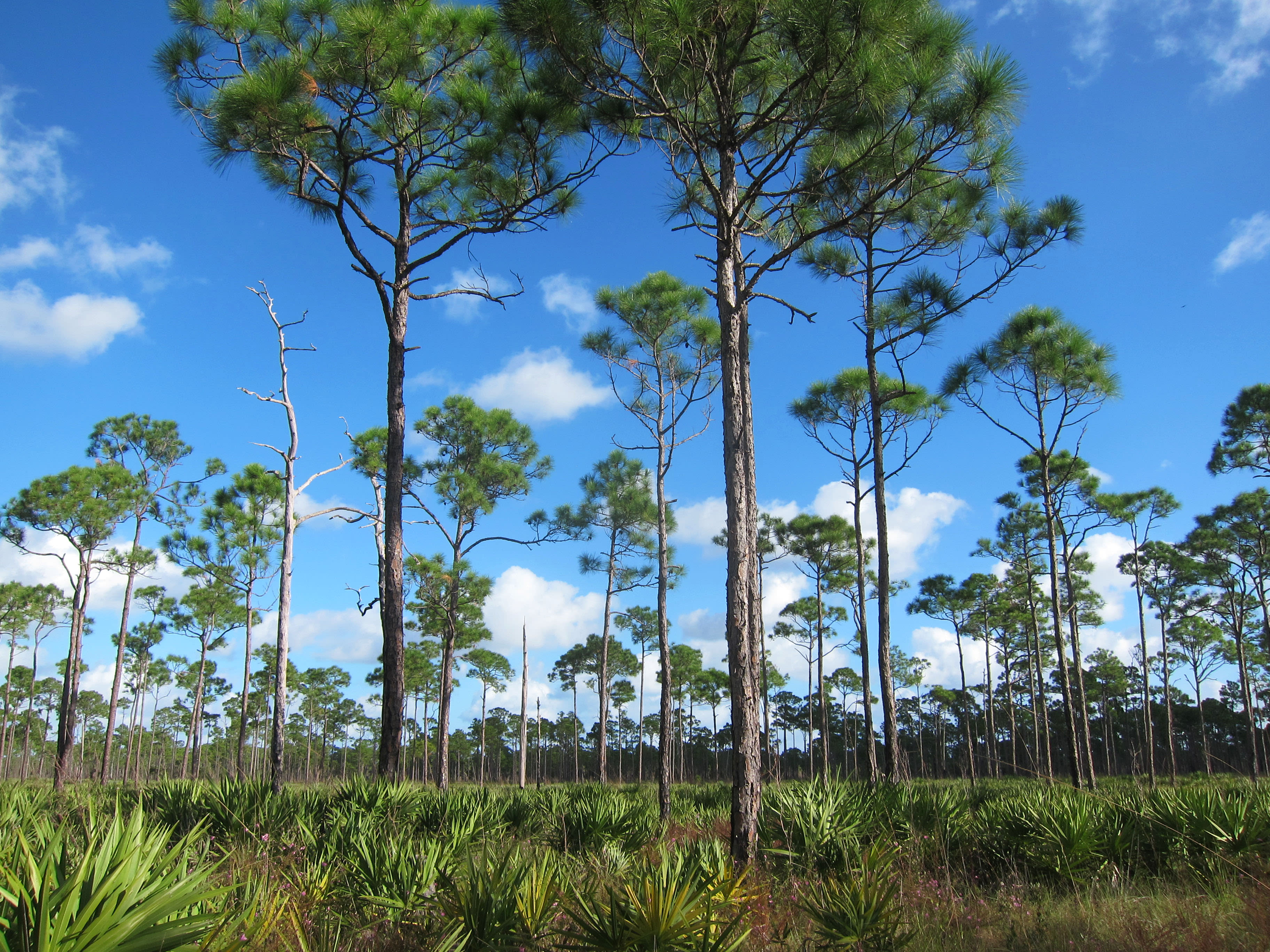 Hiking here is stunning a vibrant green and well worth as long a wander as your legs will carry you. 