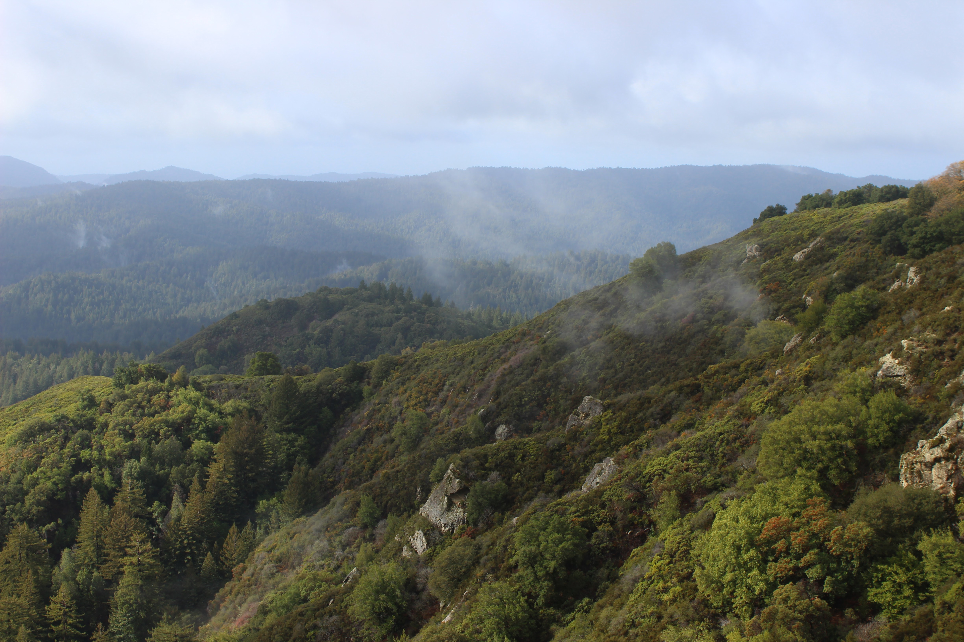 Along the Saratoga Gap Trail