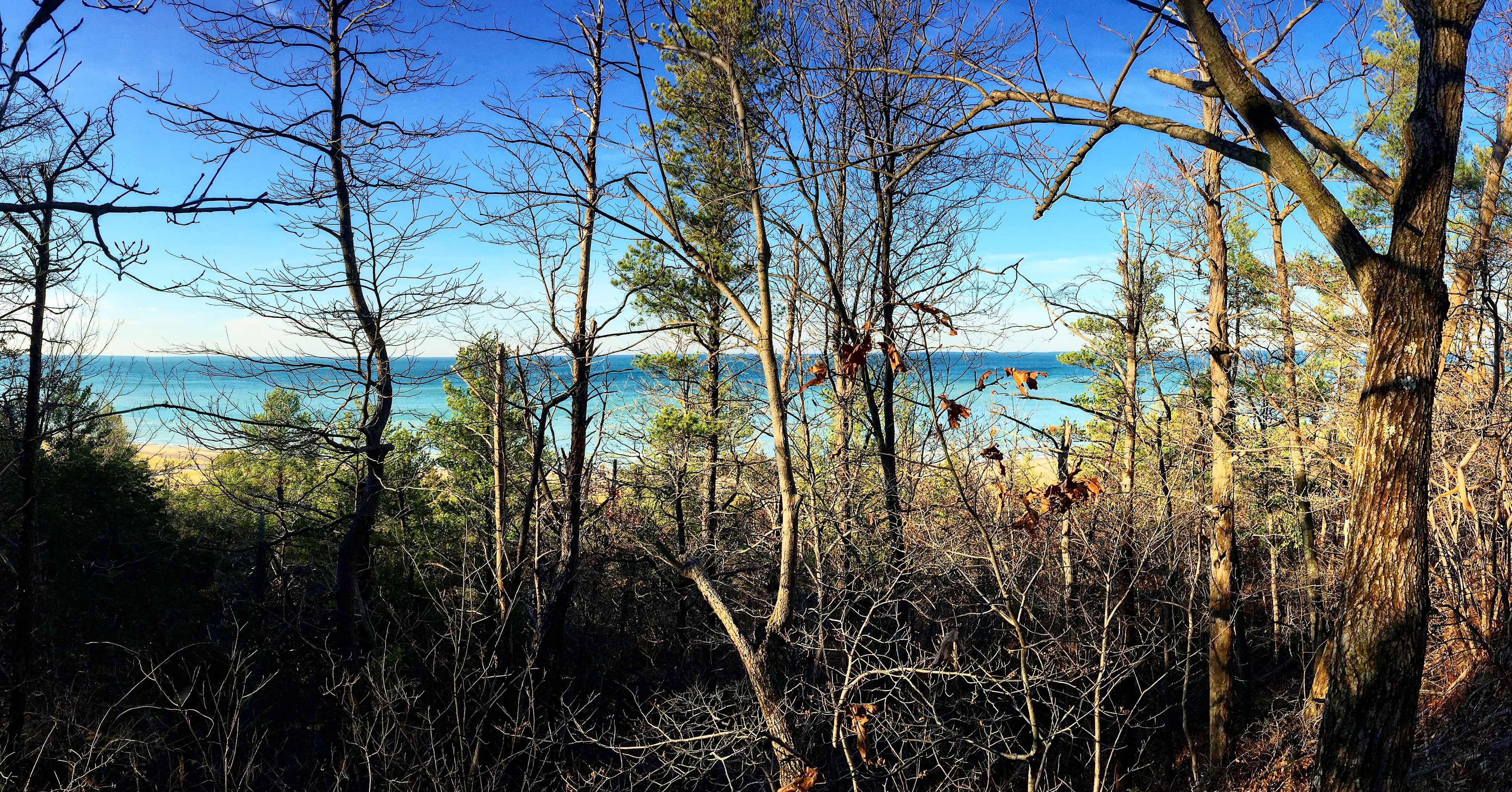 Dune top view was amazing! You could see the Chicago skyline 