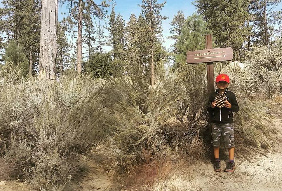 Silver Moccasin trail 