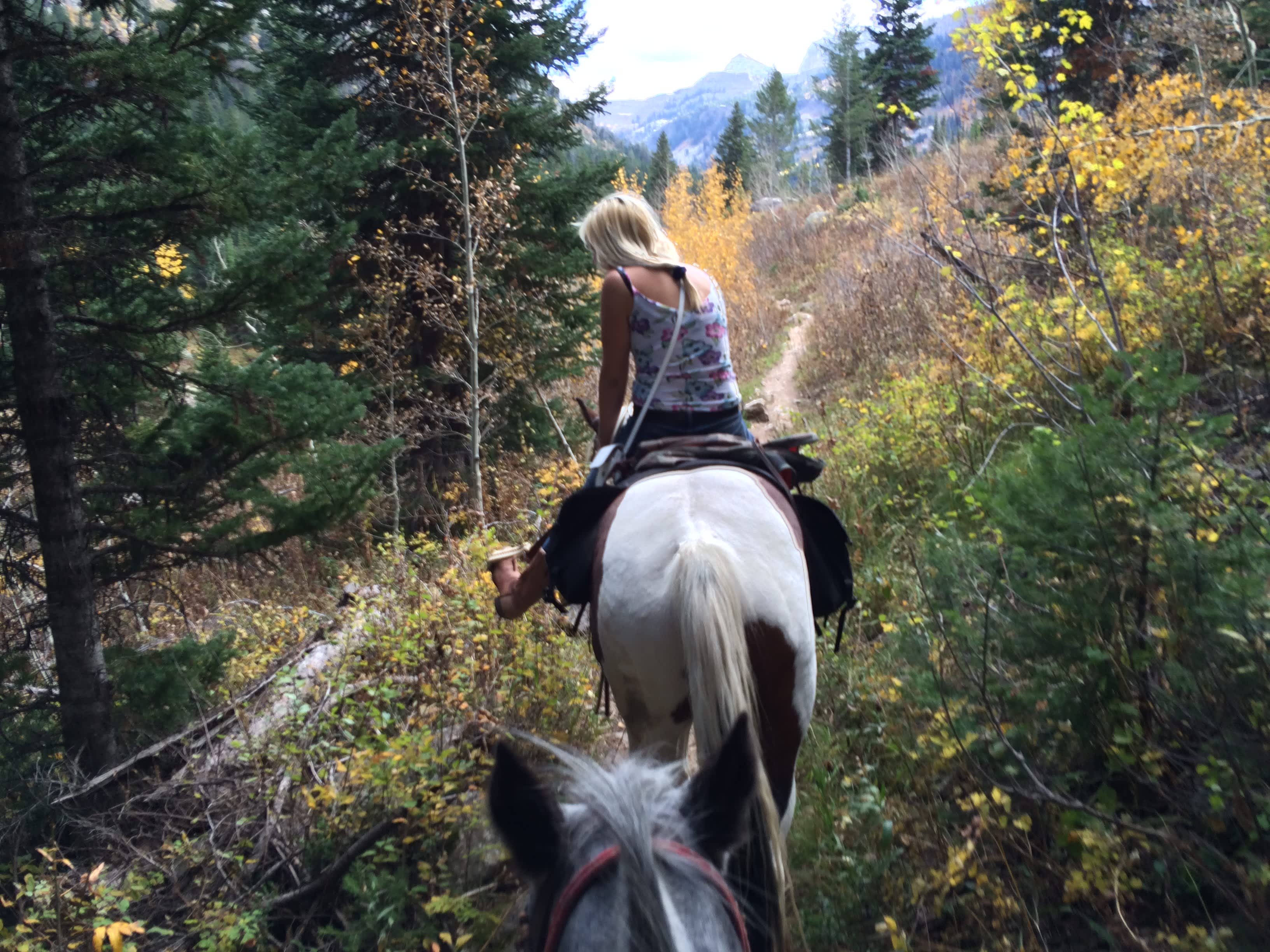 Teton Canyon Campground