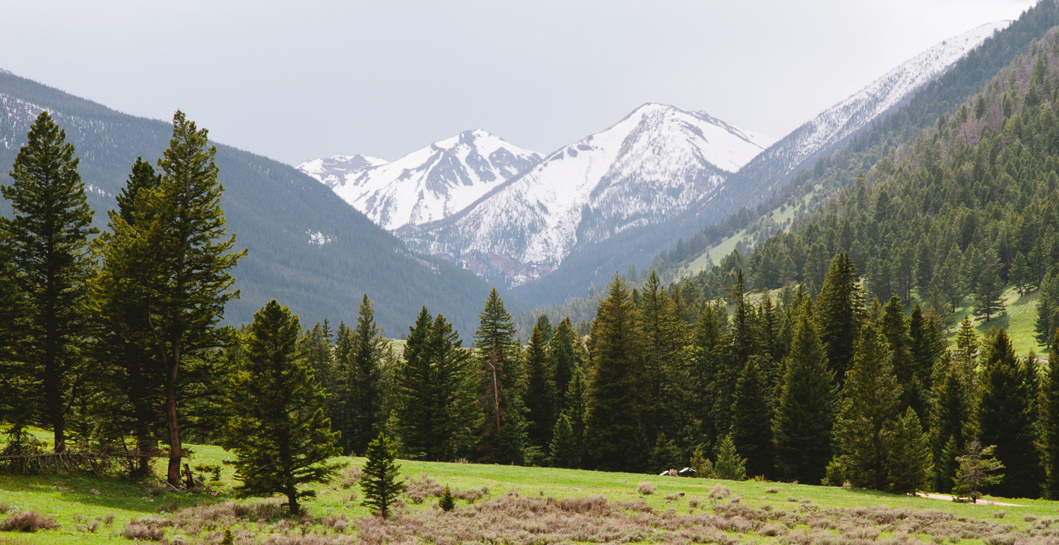 The Tobacco Root Mountains view, just up a hill from our campsite. 