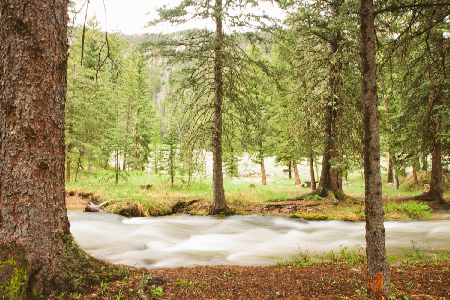 Creek running through the campground