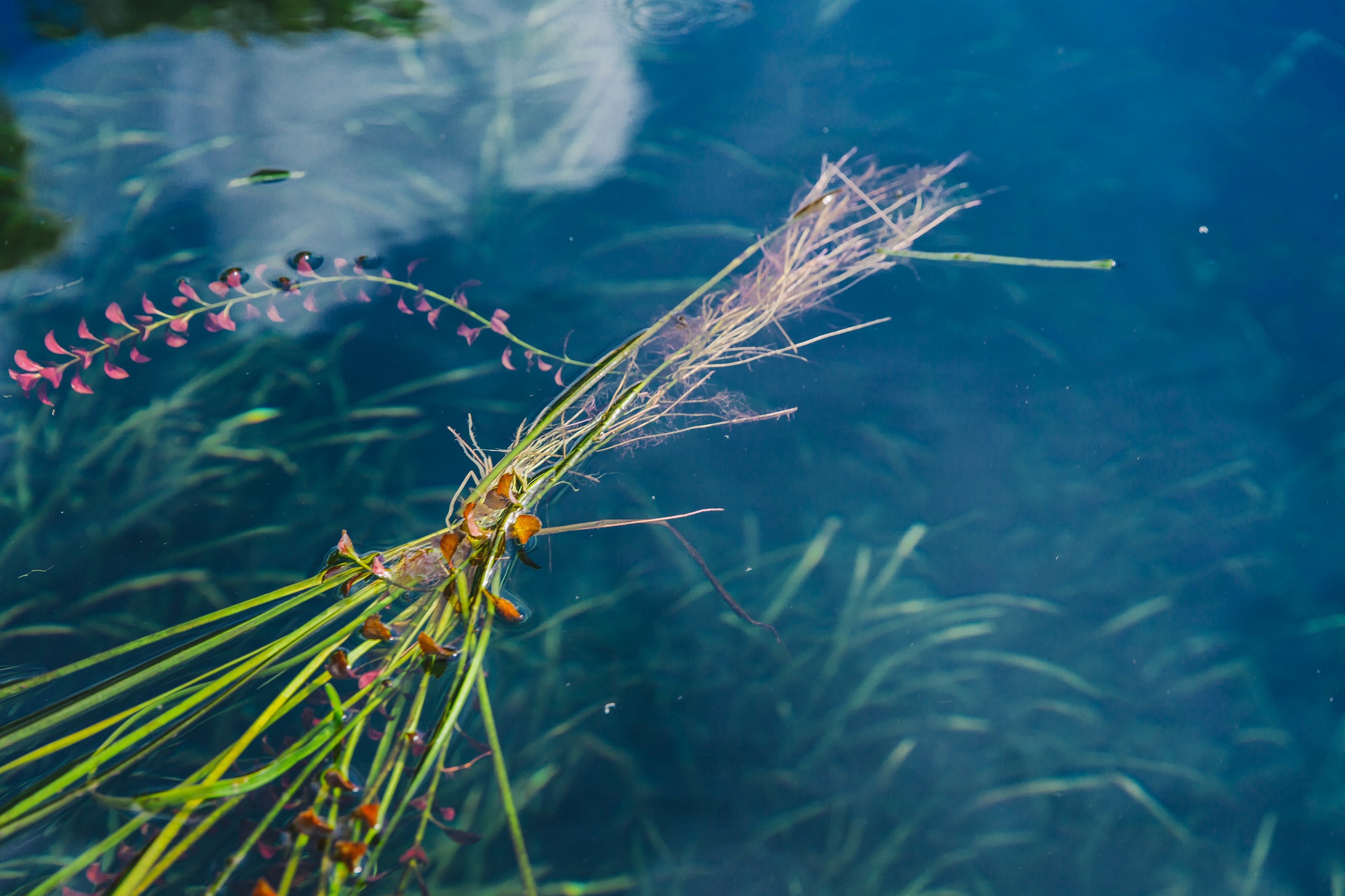 Crystal clear waters.