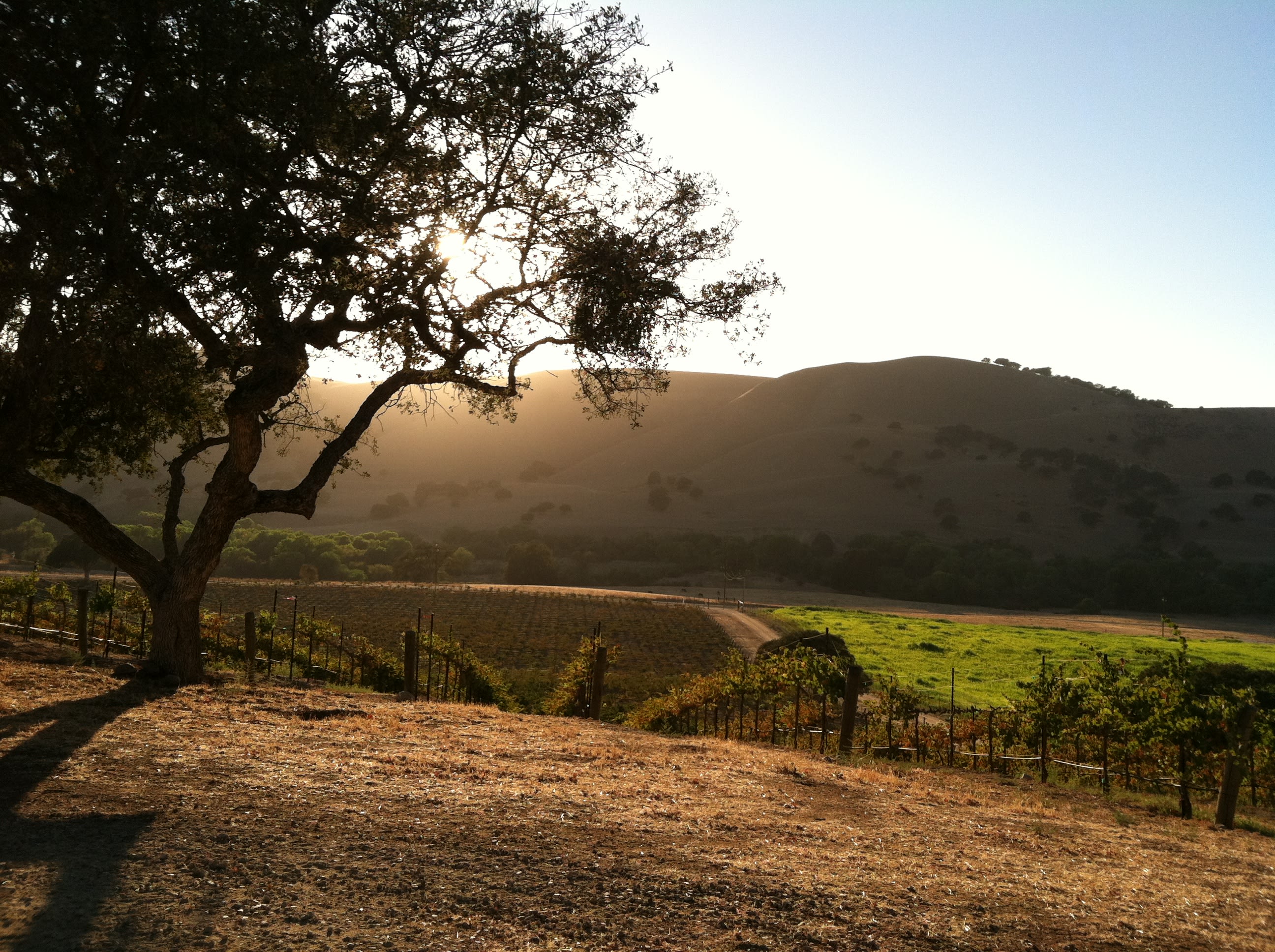 Set up camp overlooking the valley and vines!