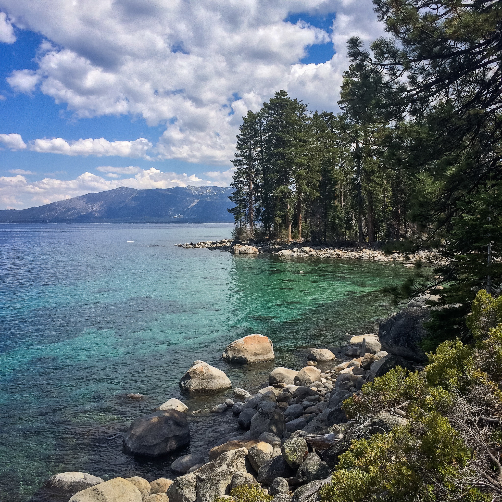 Lakeside trails near camp.