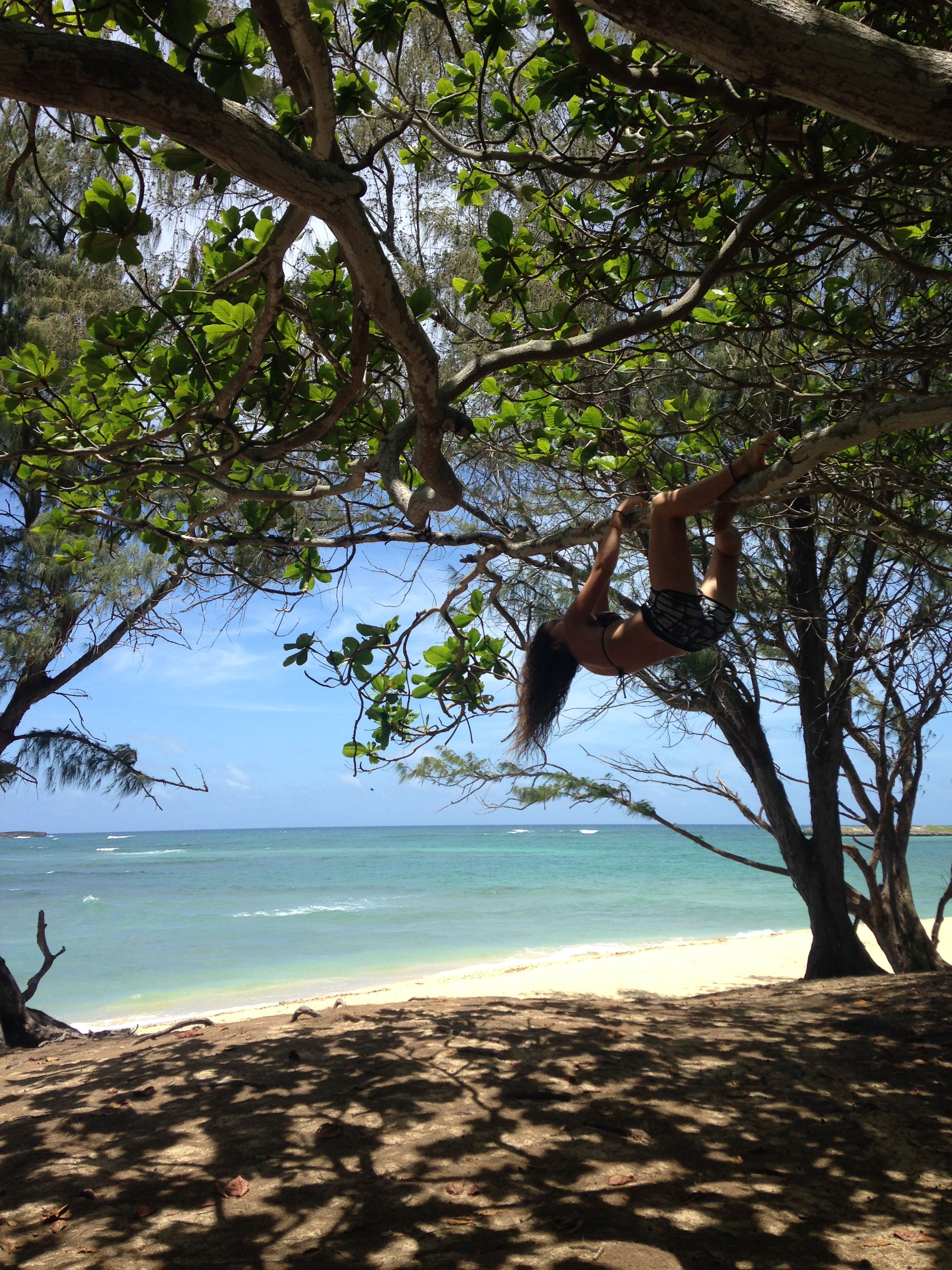 Malaekahana is a good time. Climb the trees, take some sun, or wade out to Goat Island.