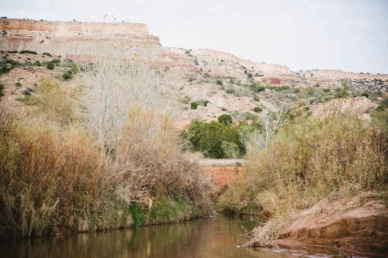 View of the canyon rim.