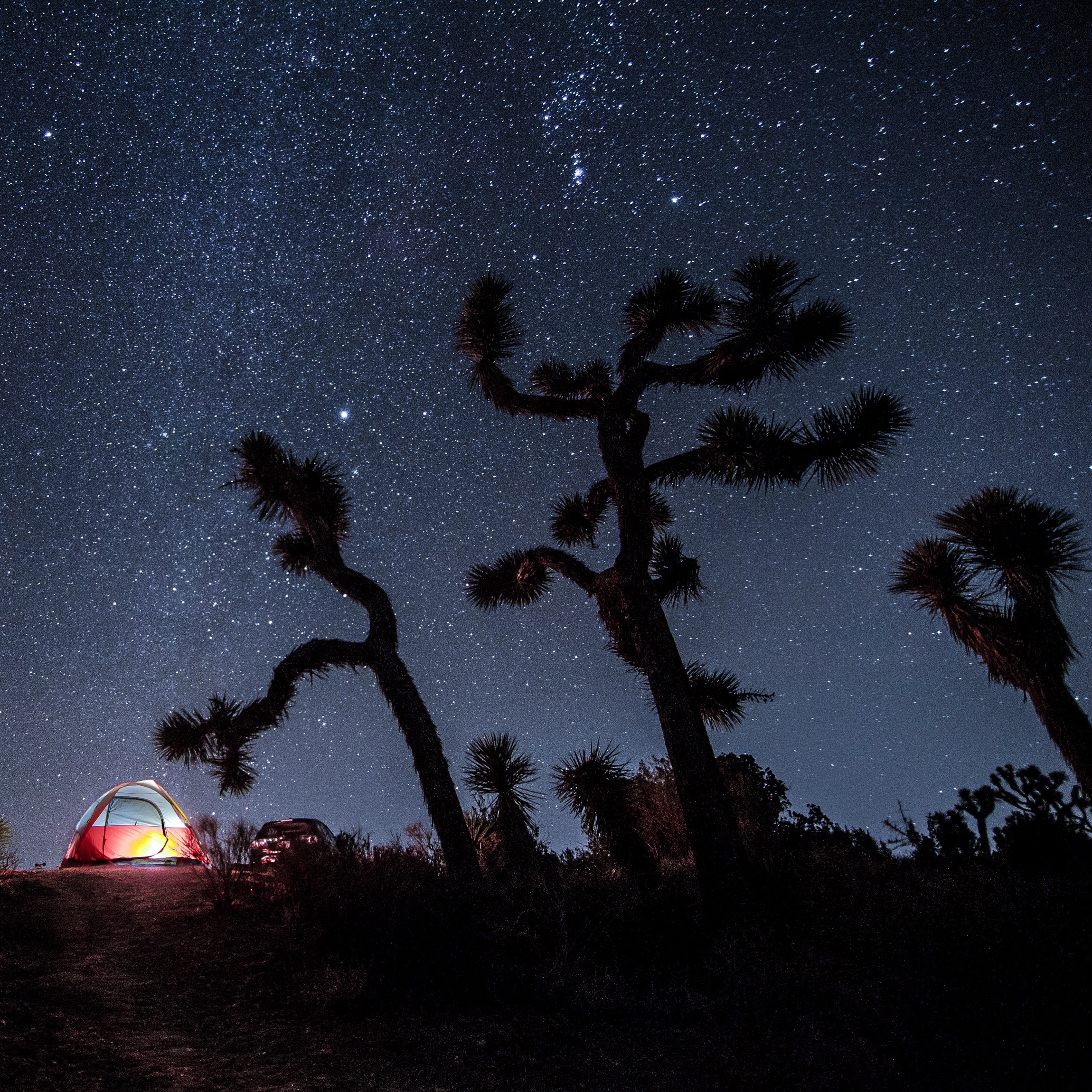 Camped at Black Rock this Winter (site #97). It was brisk and windy, yet mysteriously beautiful. 