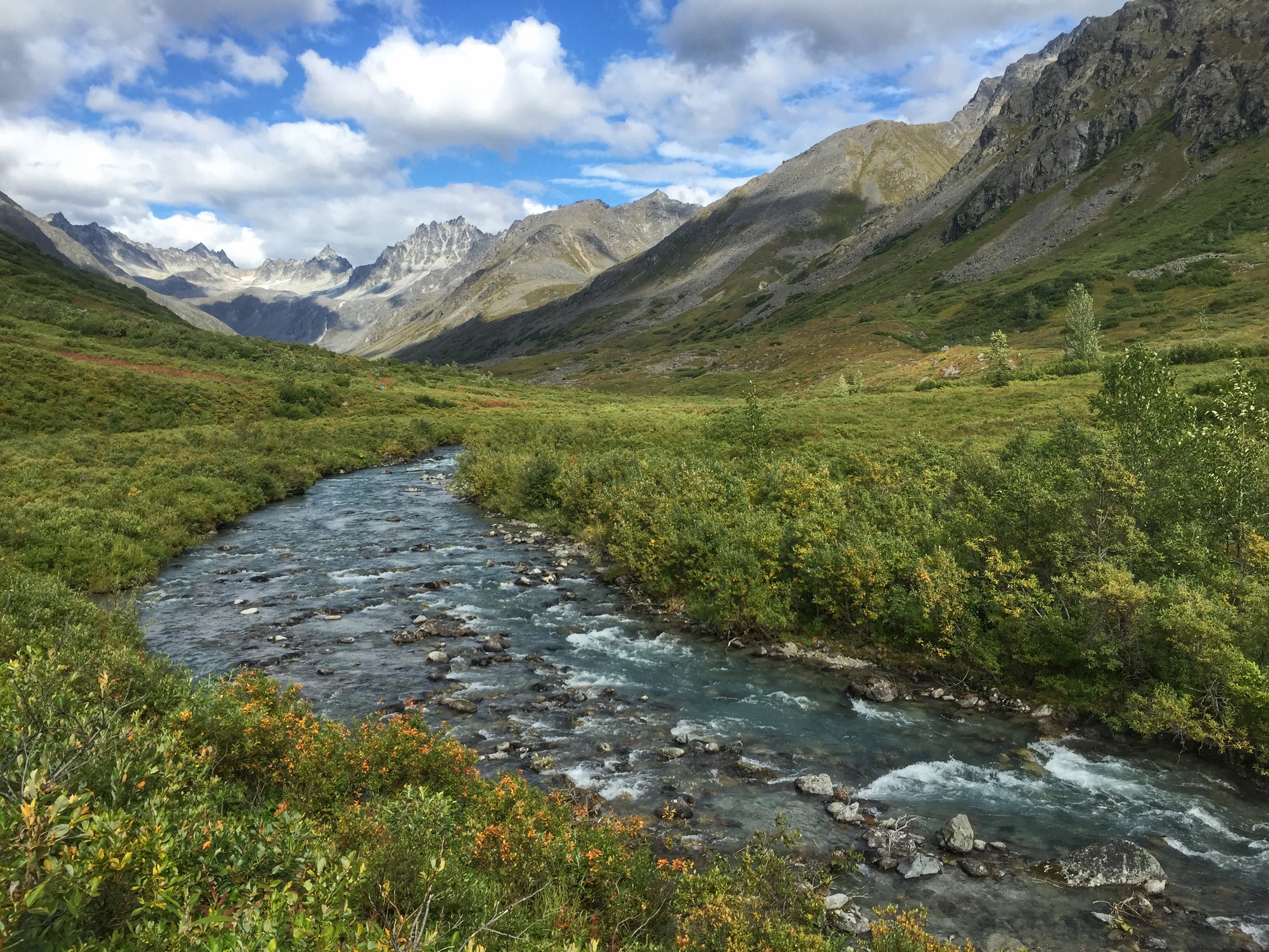 Where my heart sings and my souls soars...Gold Mint Trail.