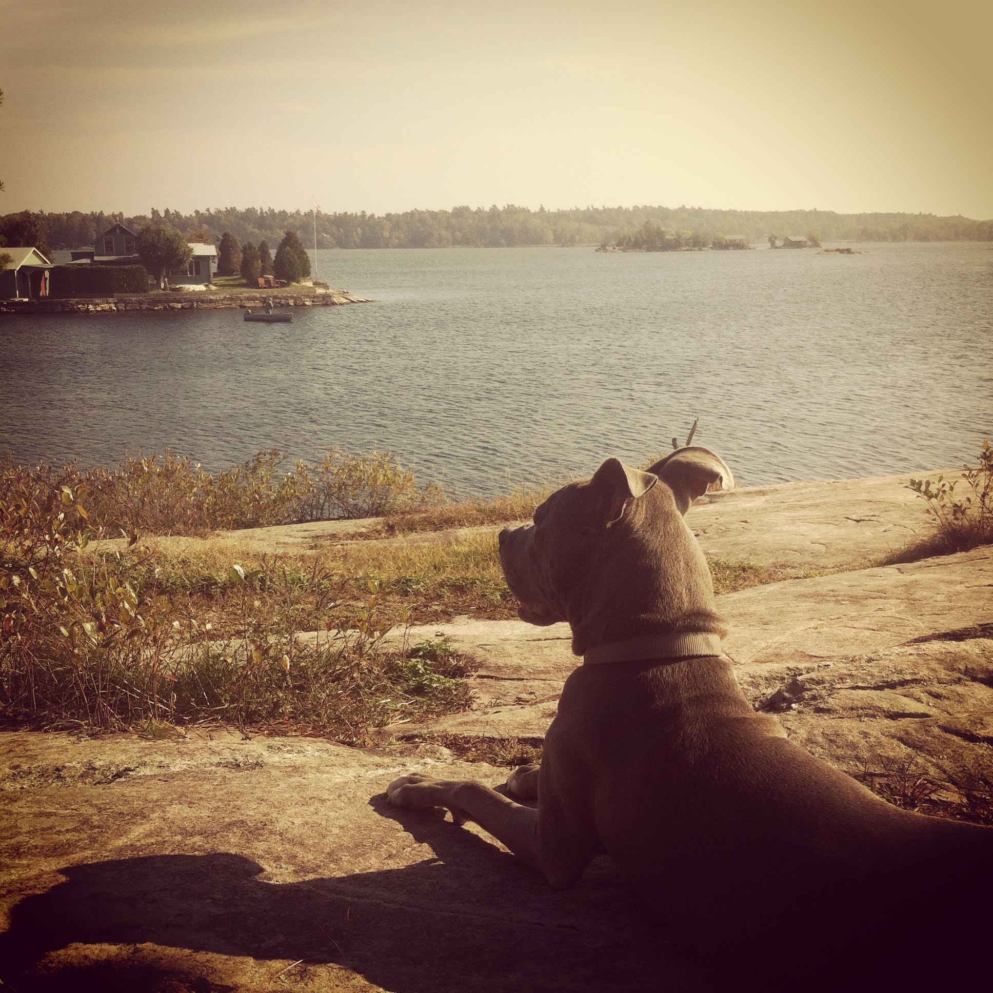 Kring Point State Park