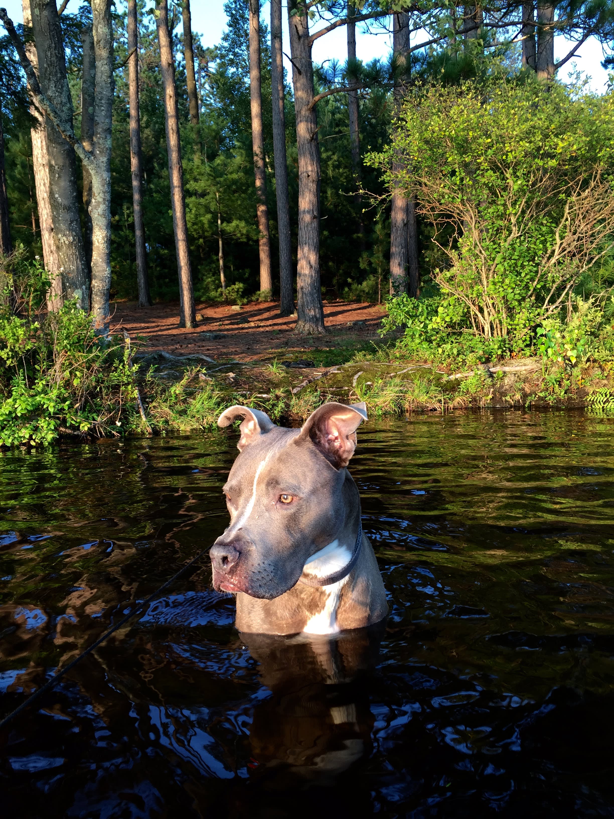 Higley Flow State Park