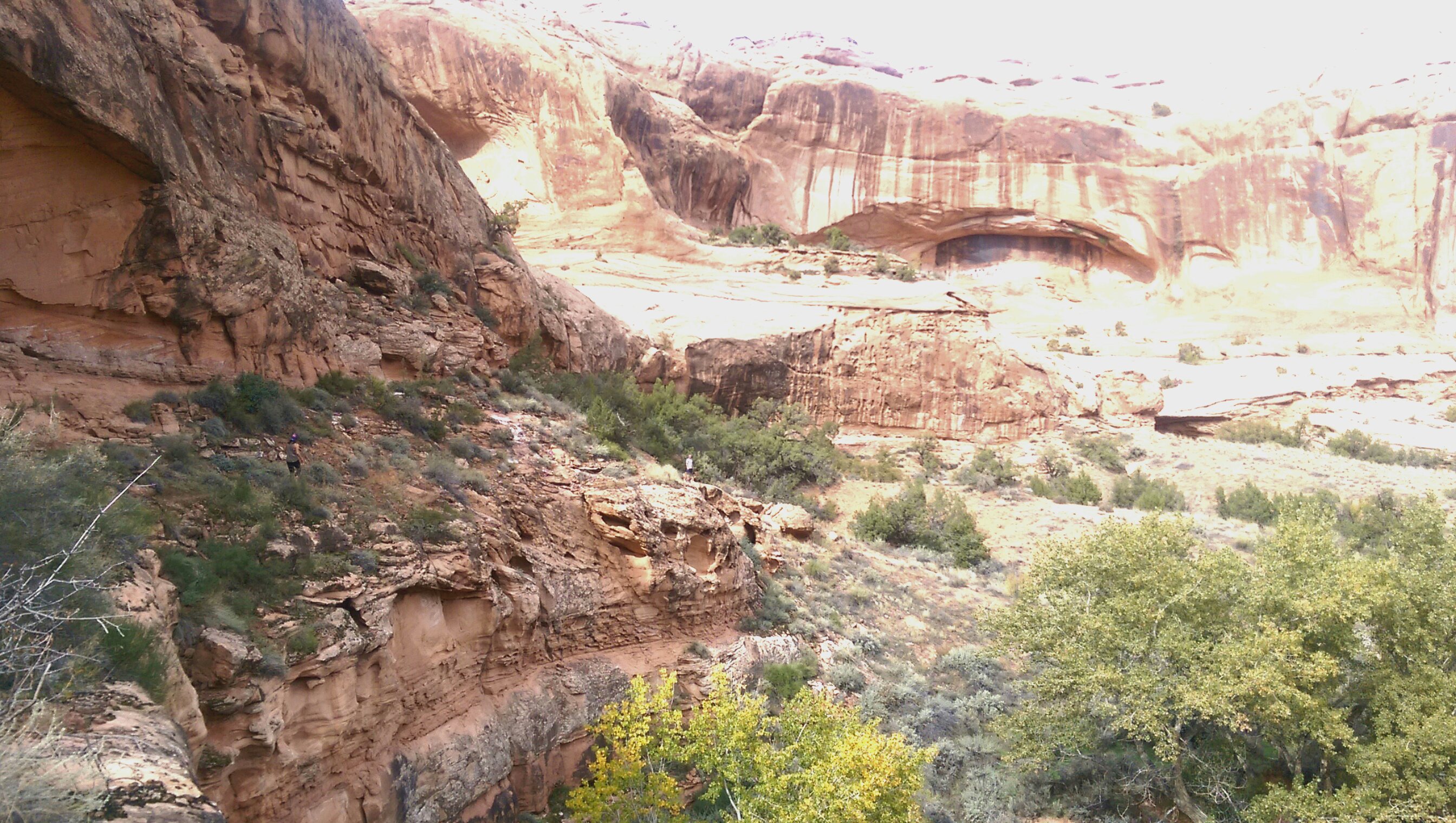 Goose Island Campground