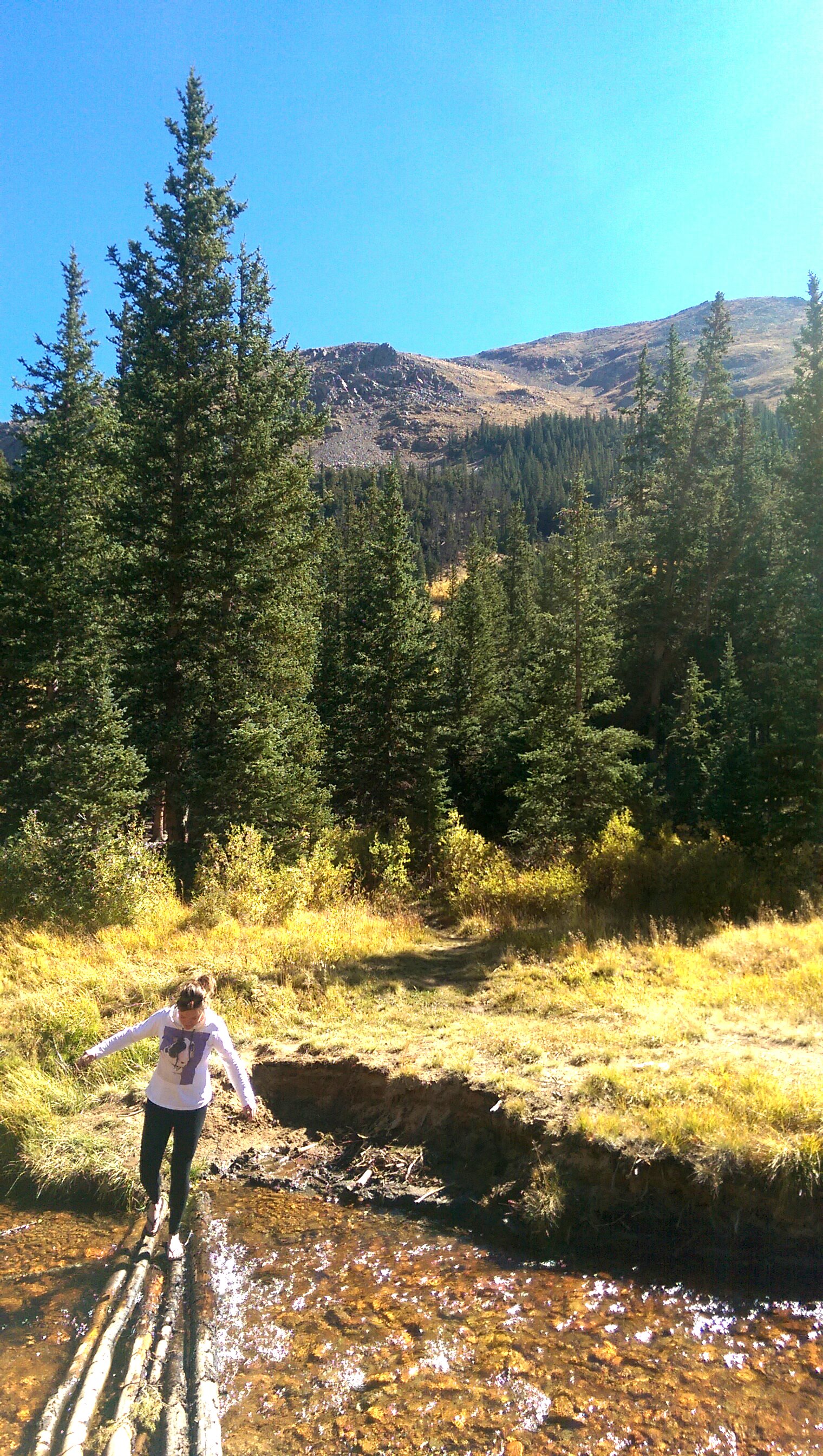 Guanella Pass Campground