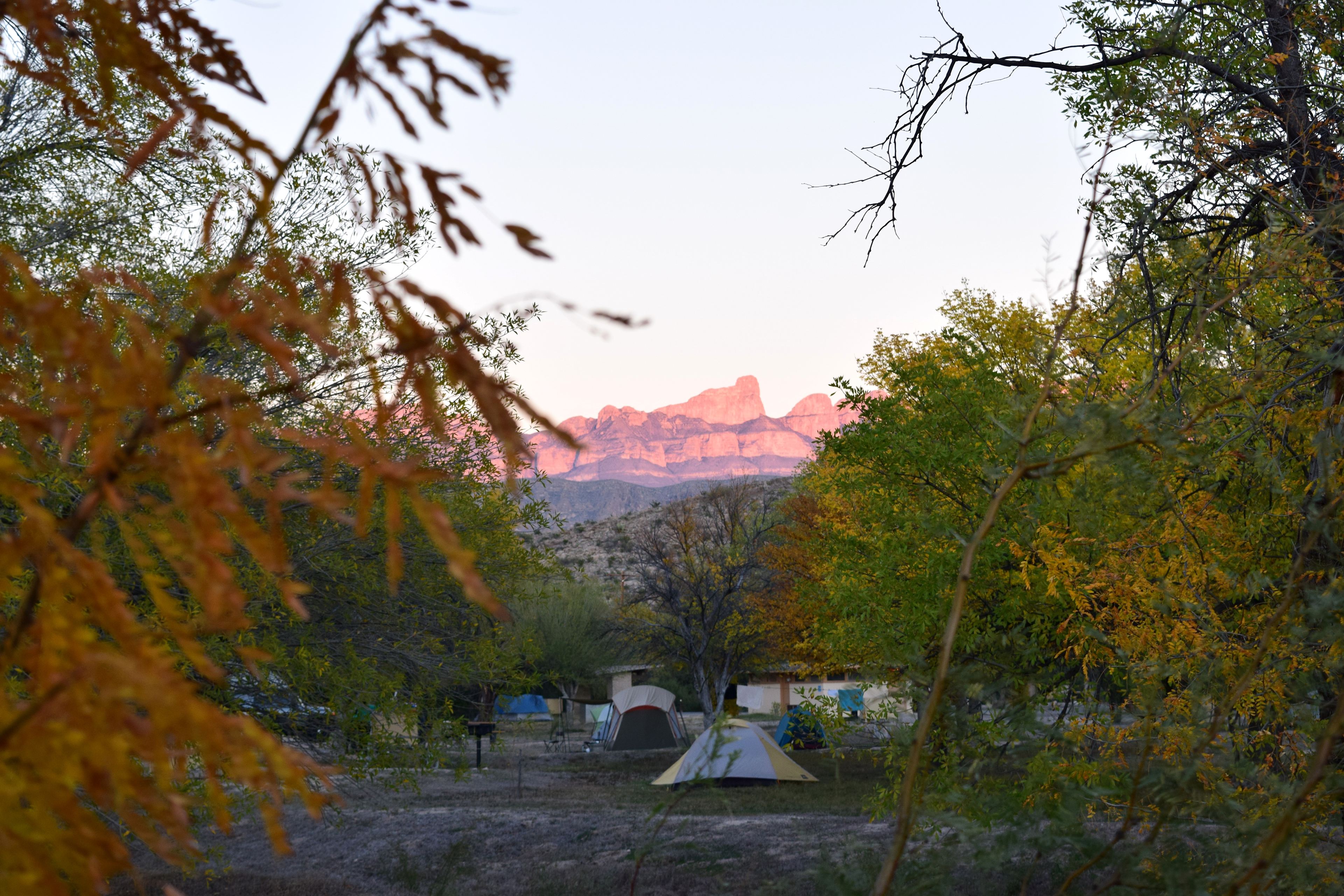 Camping trip in Big Bend National Park (and we got engaged!)