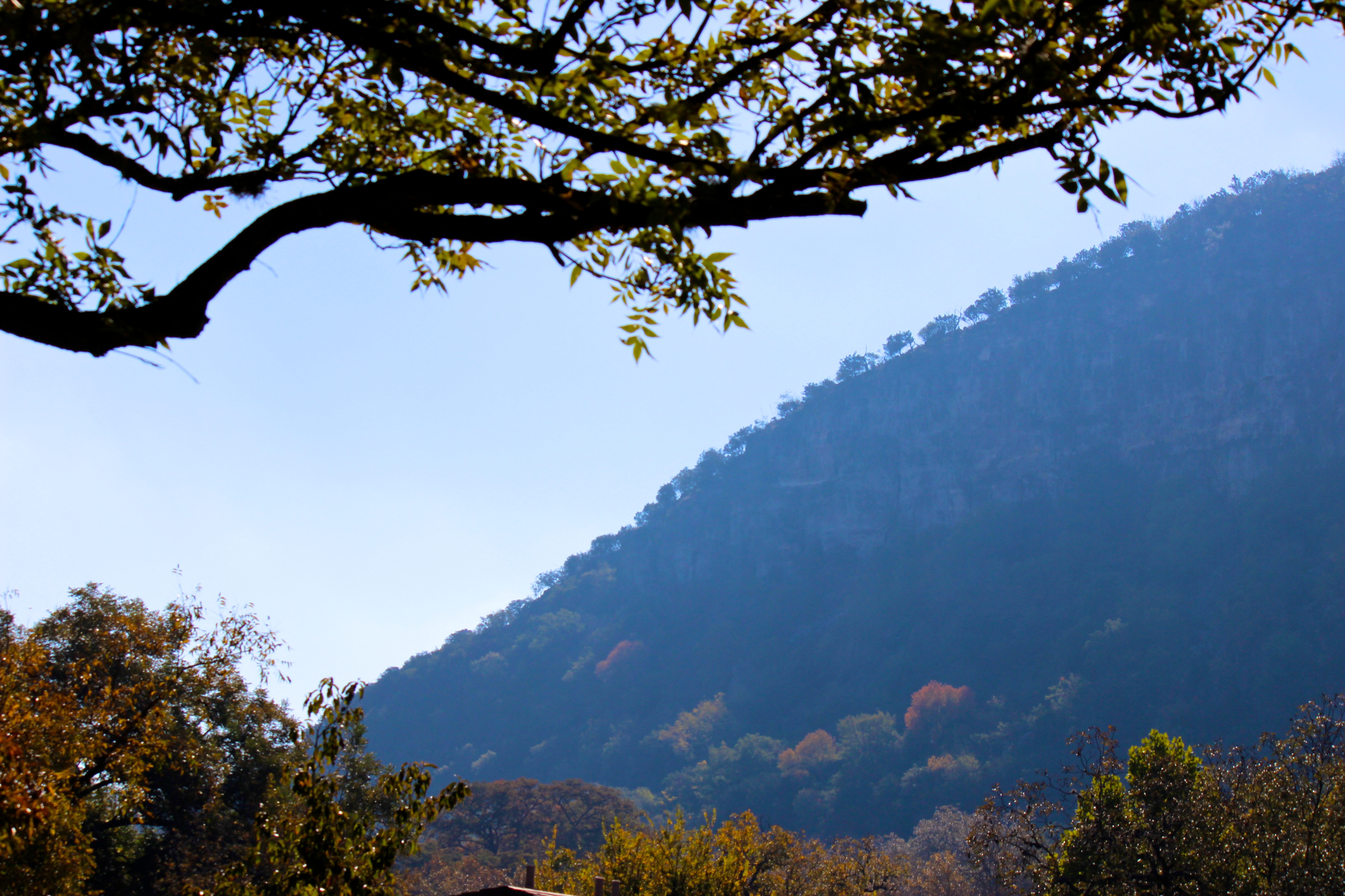 Pecan Grove Campground