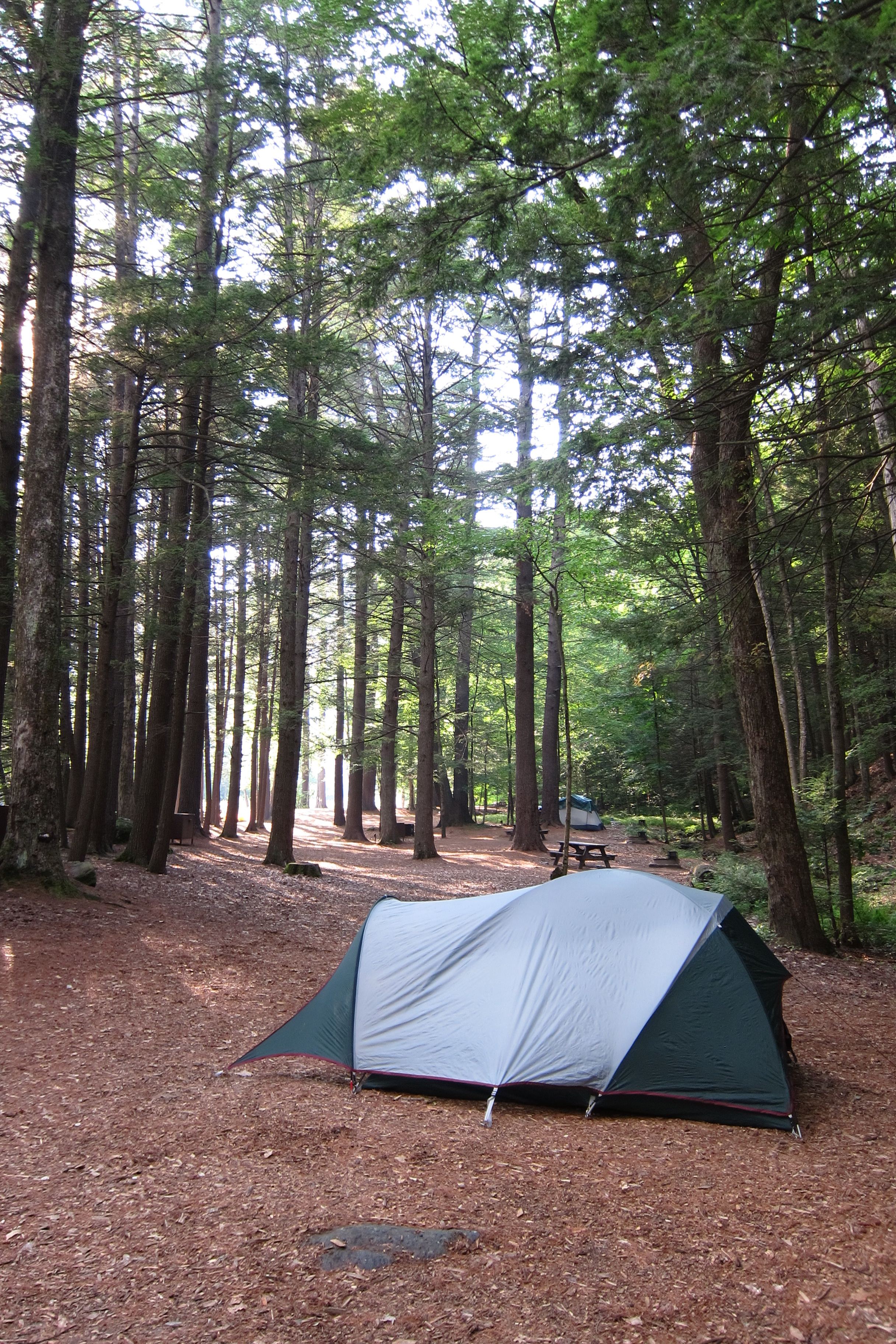 Best spot in the park, site 22