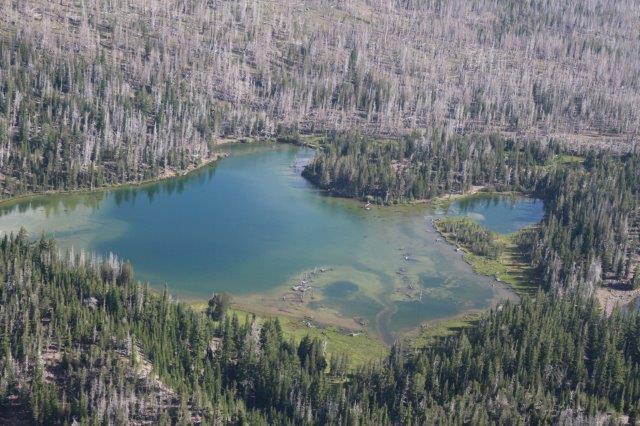 View of one of the lakes around Three Creeks Lake, burned trees from the Pole Creek Fire providing color contrast. 