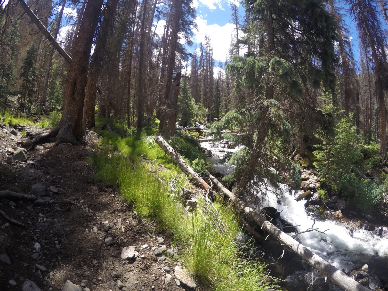 Hidden Valley Tent Campground