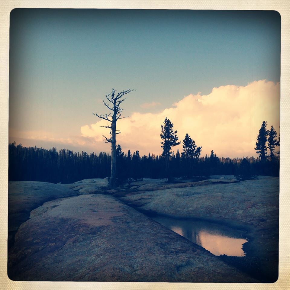 Tuolumne Meadows Walk-In Campground