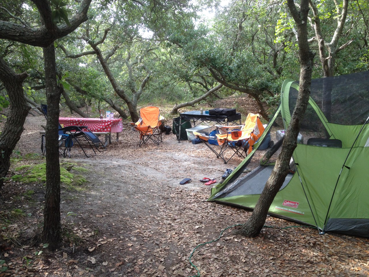 Camping under low trees.