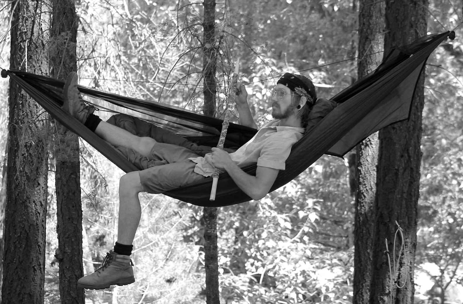 Plenty of hammock space at Sheep's Creek.