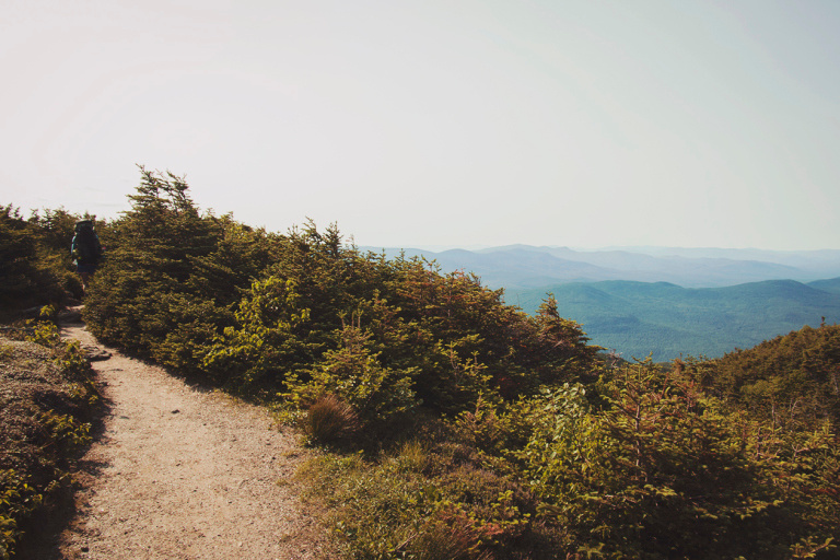 Trail from the shelter down to Valley Way campsite