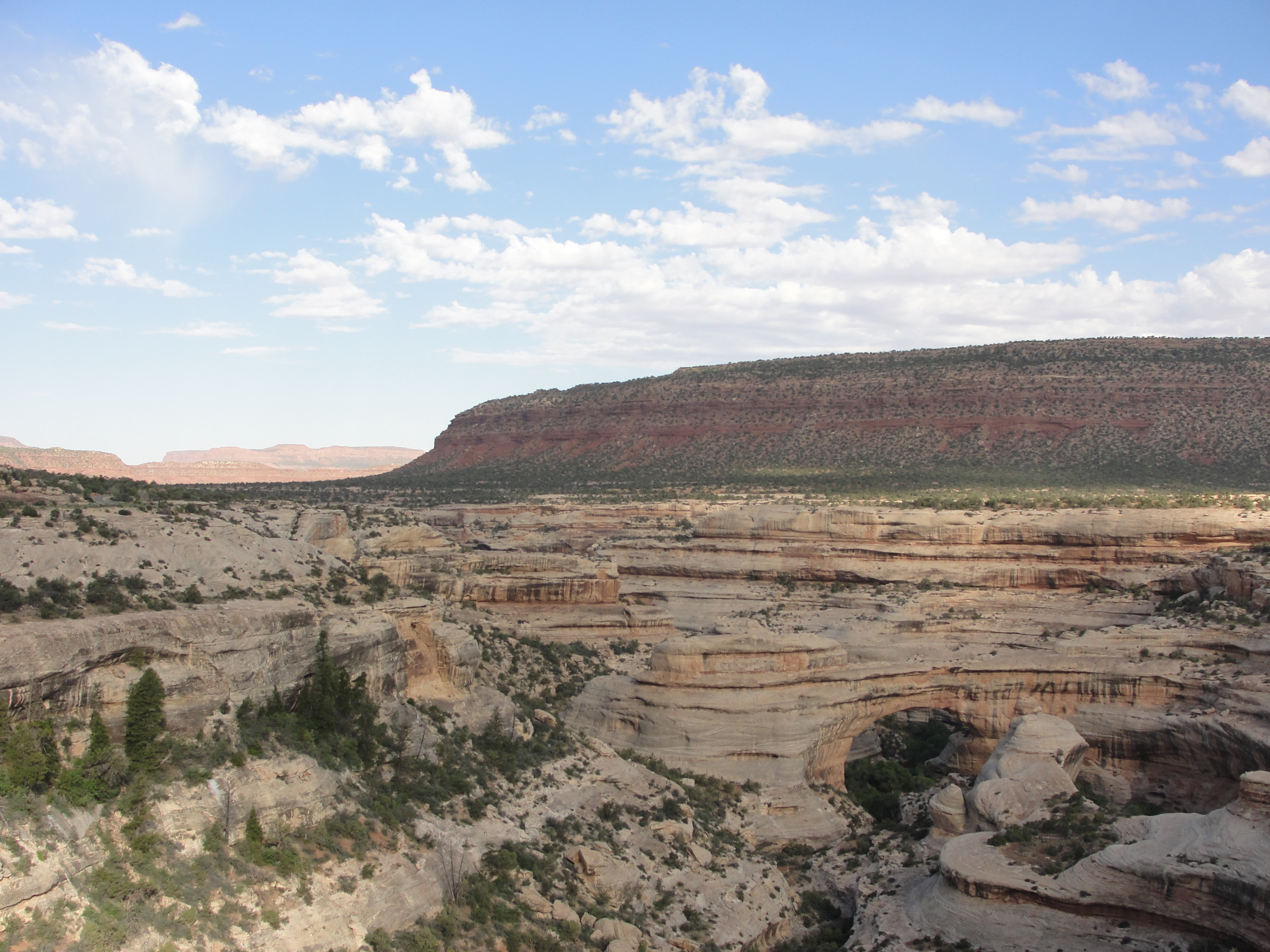 Natural Bridges Campground