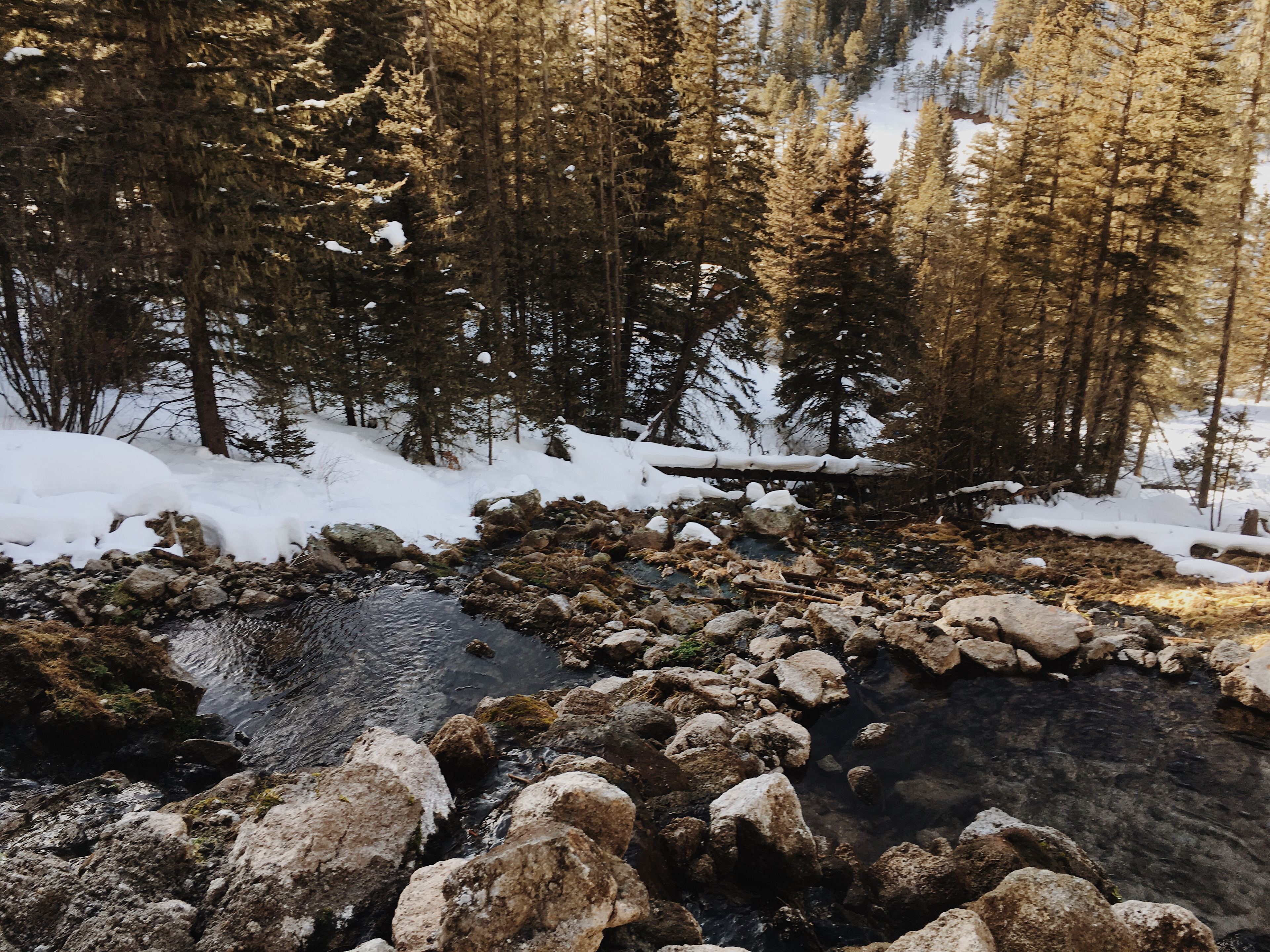 The remote, natural San Antonio hot springs are some of the finest in the state.