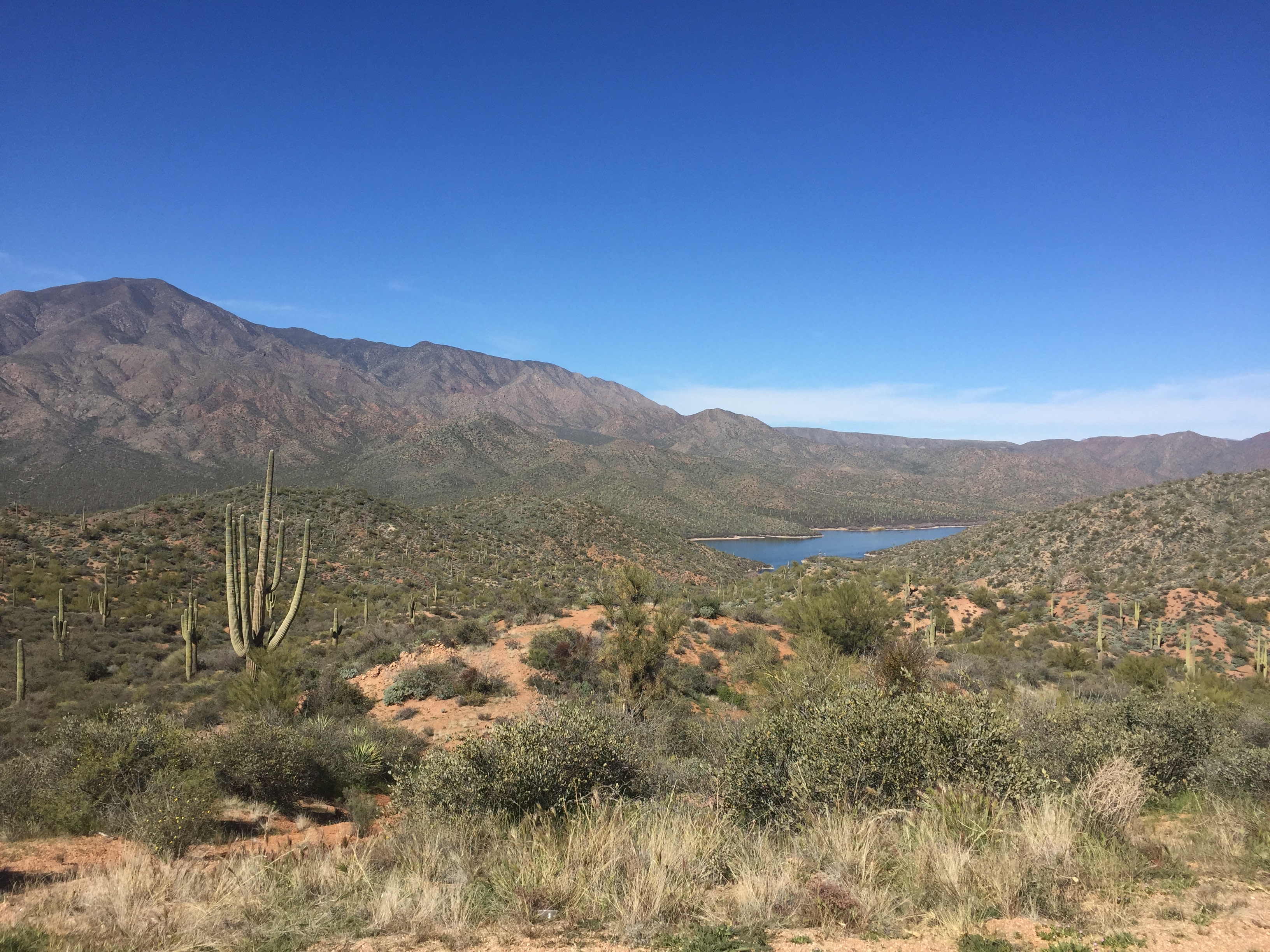 Apache Lake Davis Wash