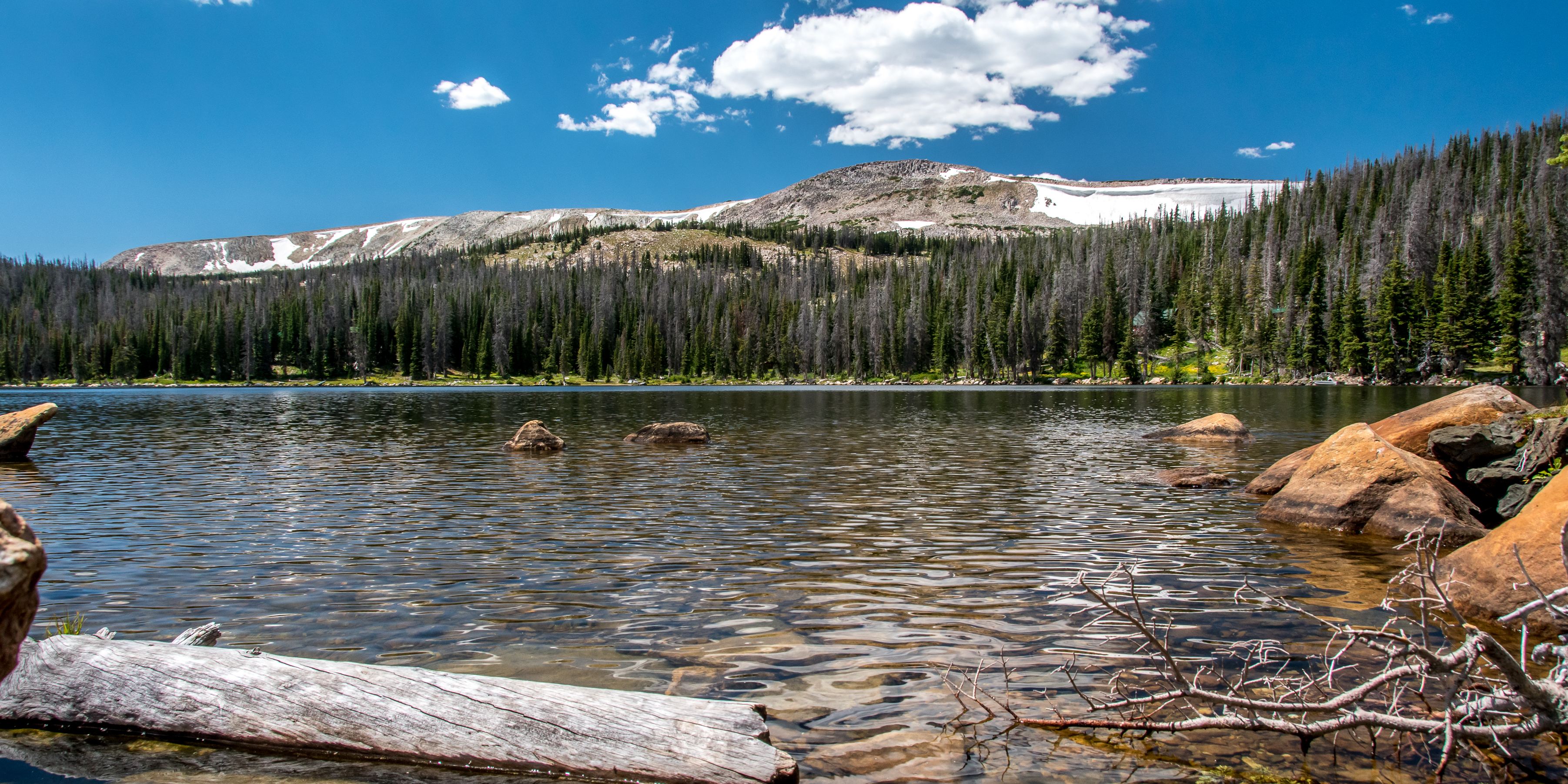 Crystal clear Brooklyn Lake