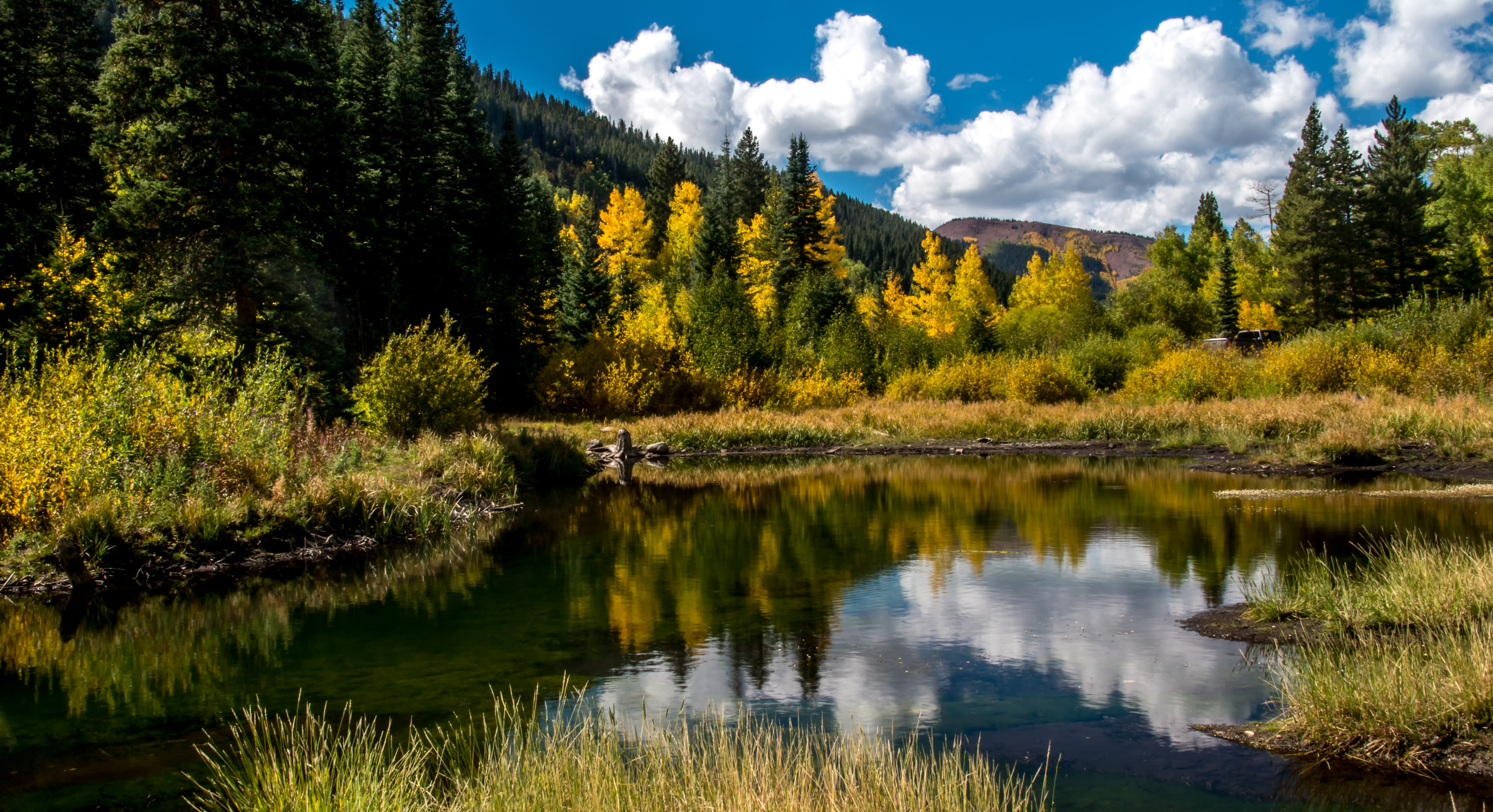 The beaver pond near Fulford Cave Campground is beautiful in the fall