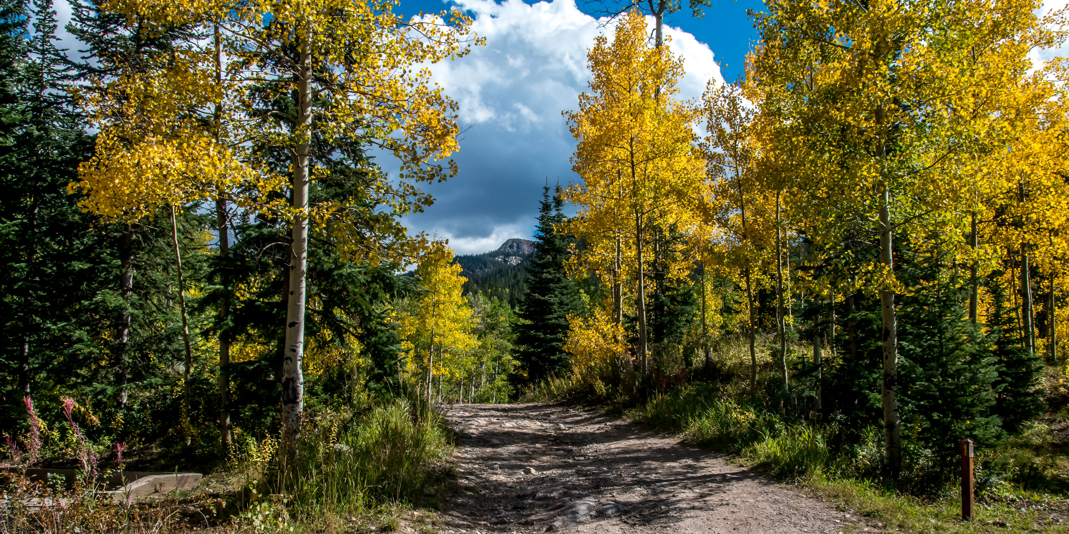 The road to Fulford Cave is rough and narrow