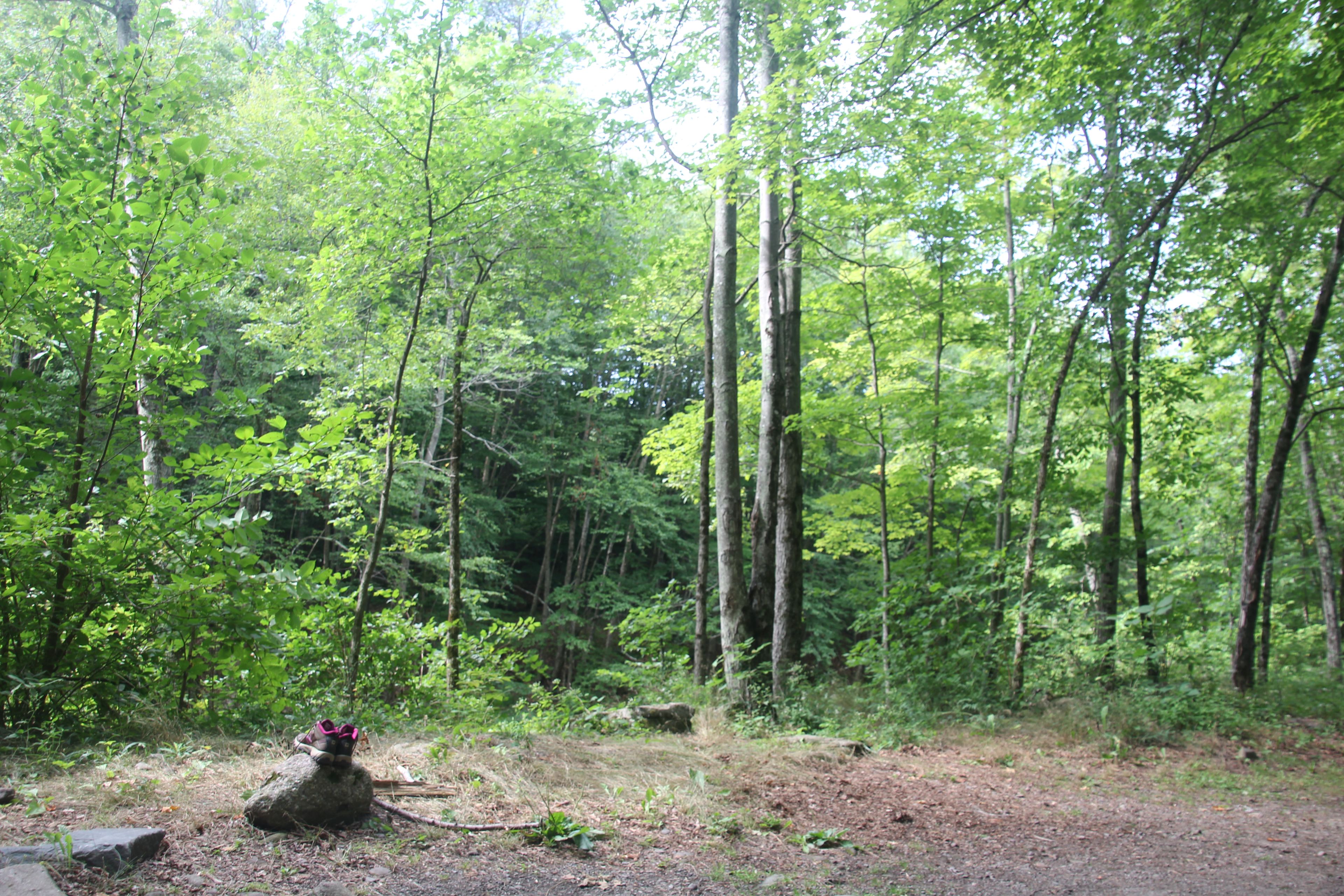 The scene on the back end of our site.